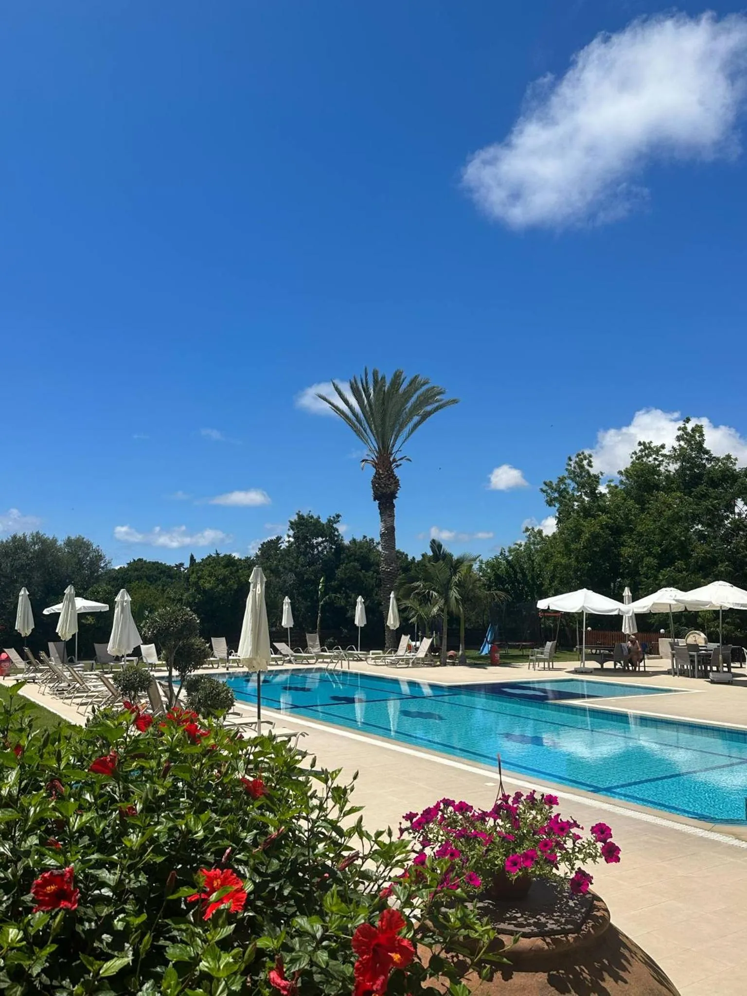 Garden in Anna Hotel Apartments