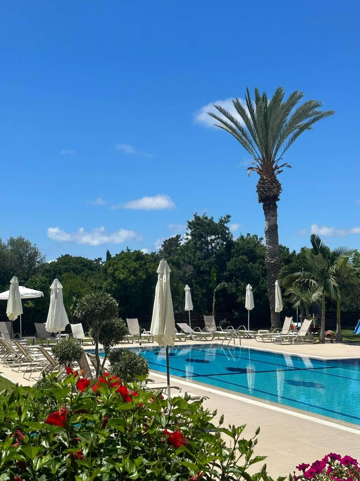 Garden in Anna Hotel Apartments