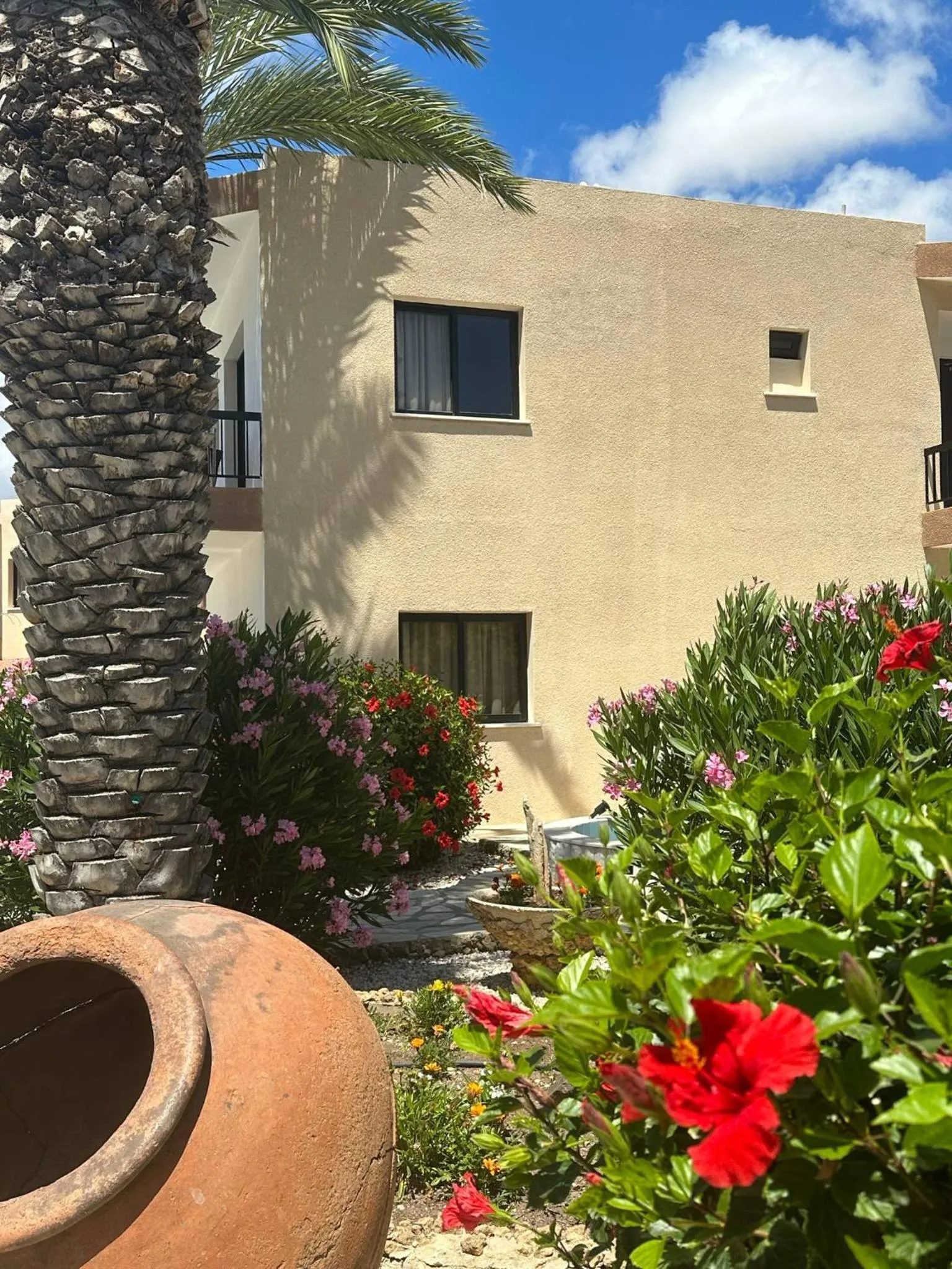 Garden in Anna Hotel Apartments