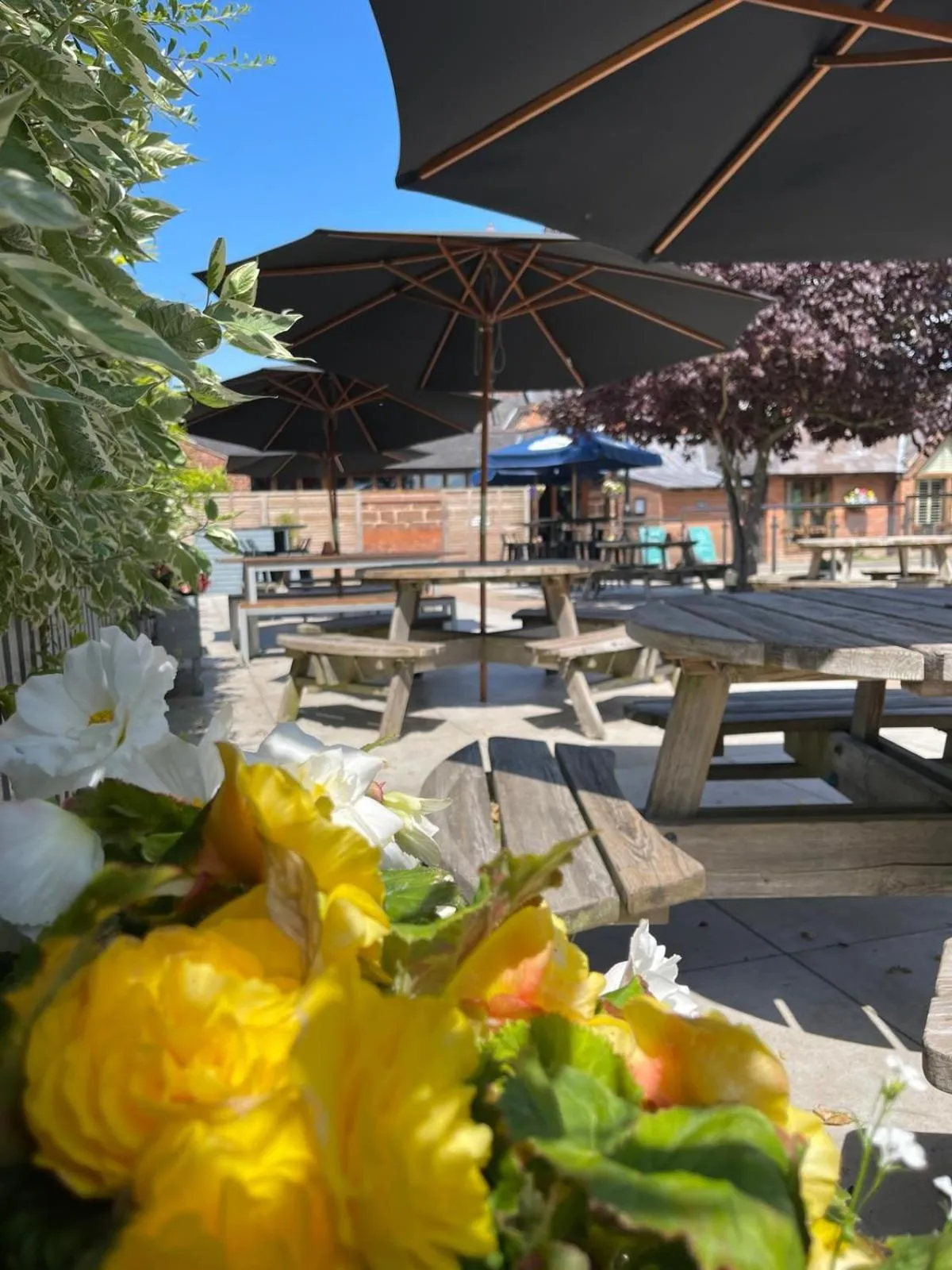 Patio in Cock O' Barton