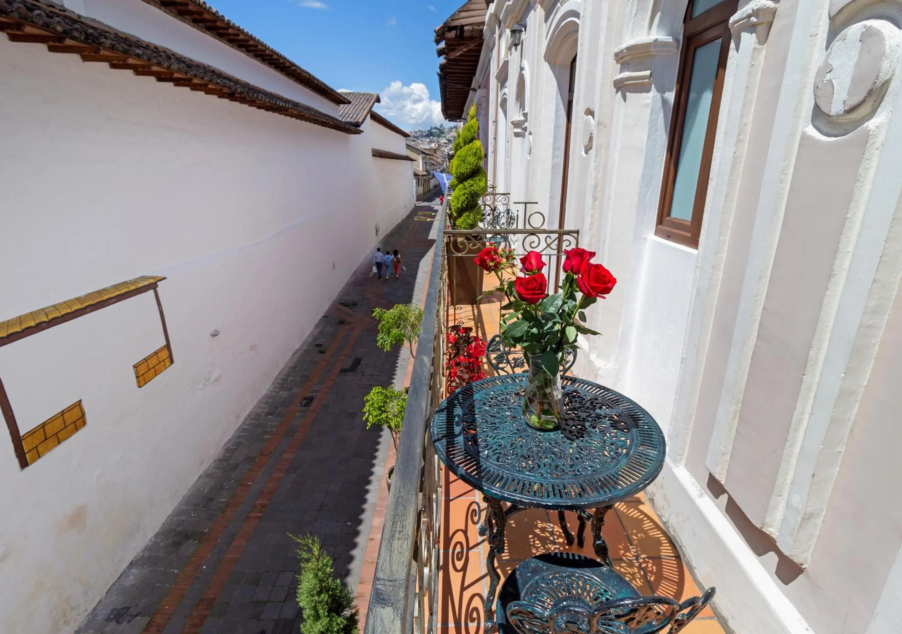Balcony/Terrace in Friends Hotel & Rooftop - Historic Center & Museums