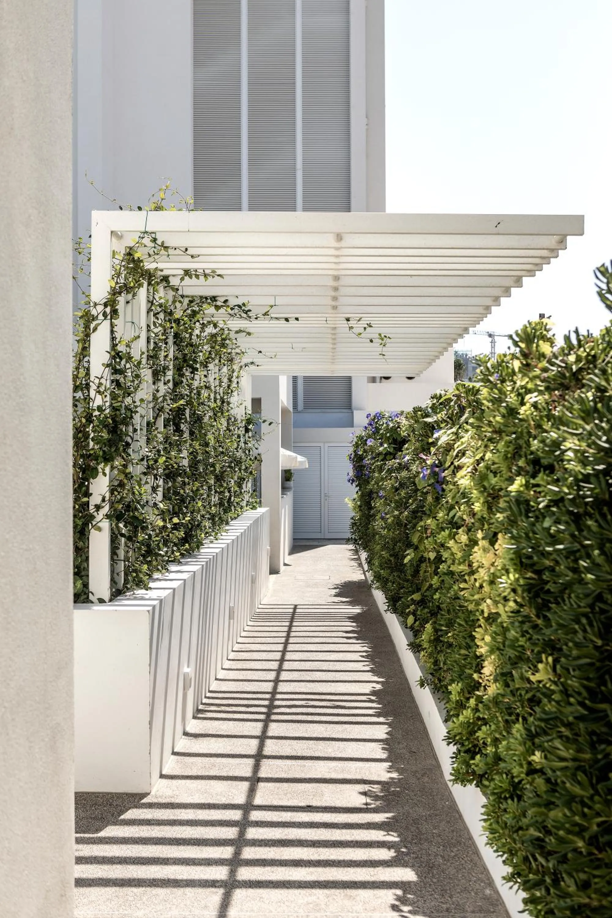 Property building in Anemi Hotel & Suites