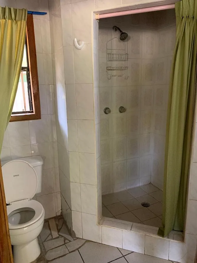 Coconut Tree West End