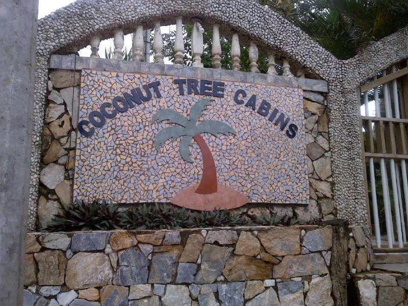 Day in Coconut Tree West End