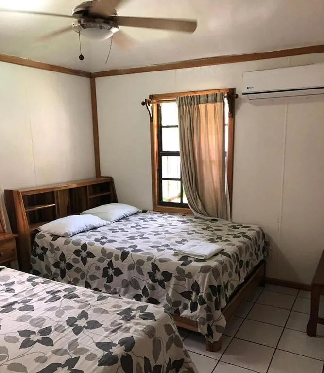 Coconut Tree West End