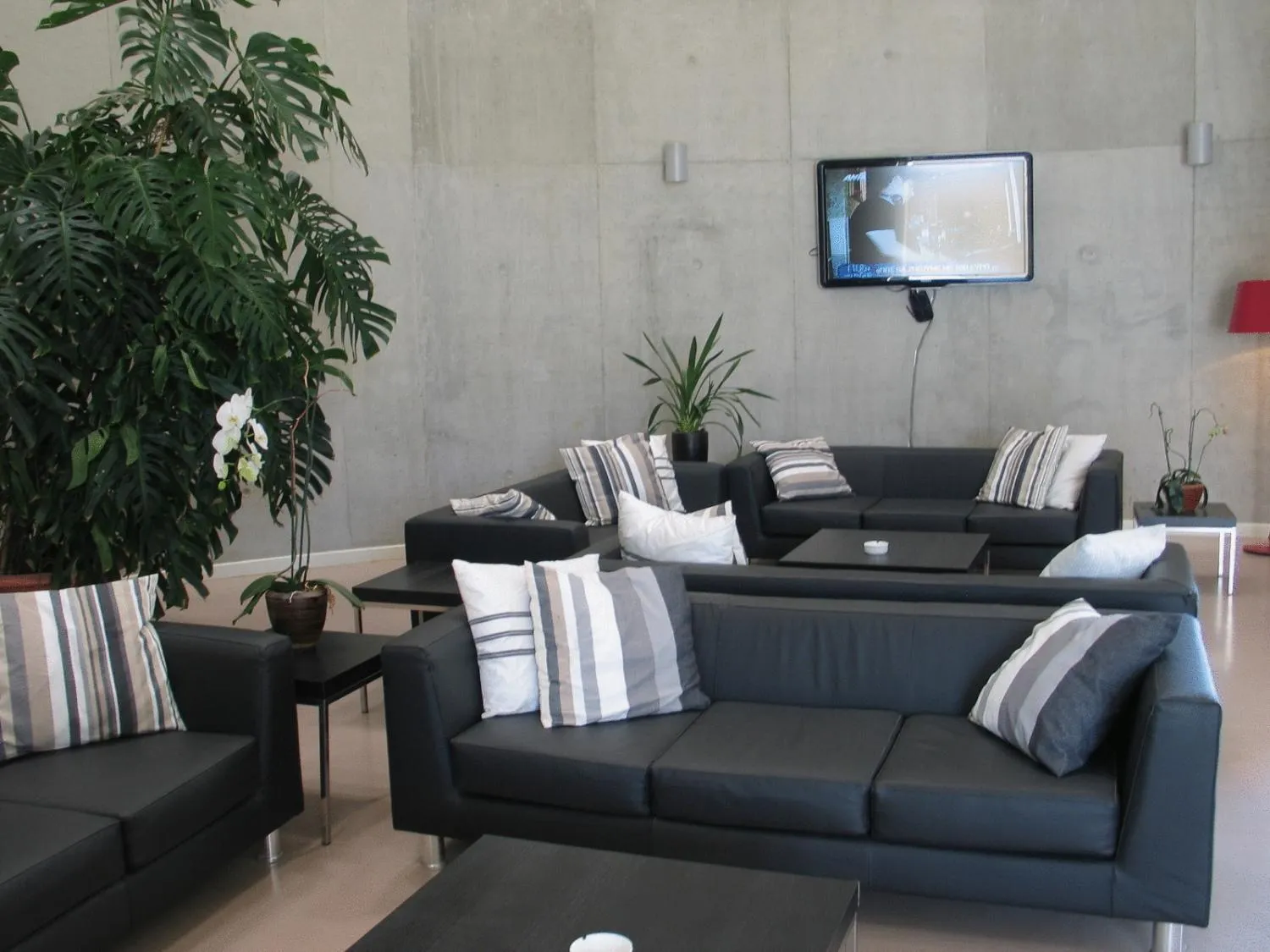 Lounge or bar in Allegra GSP Sport Center