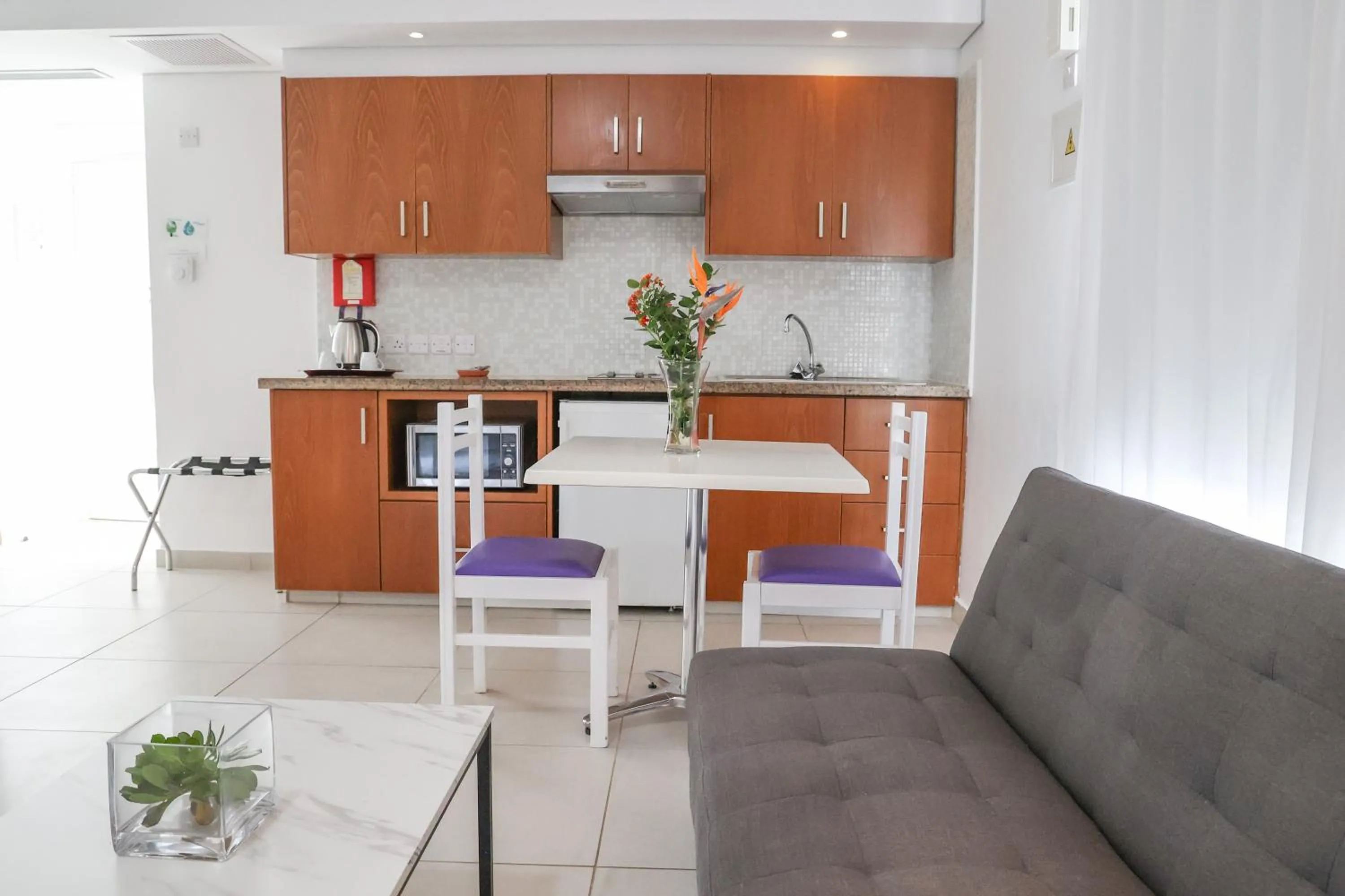Kitchen or kitchenette in Alva Hotel Apartments