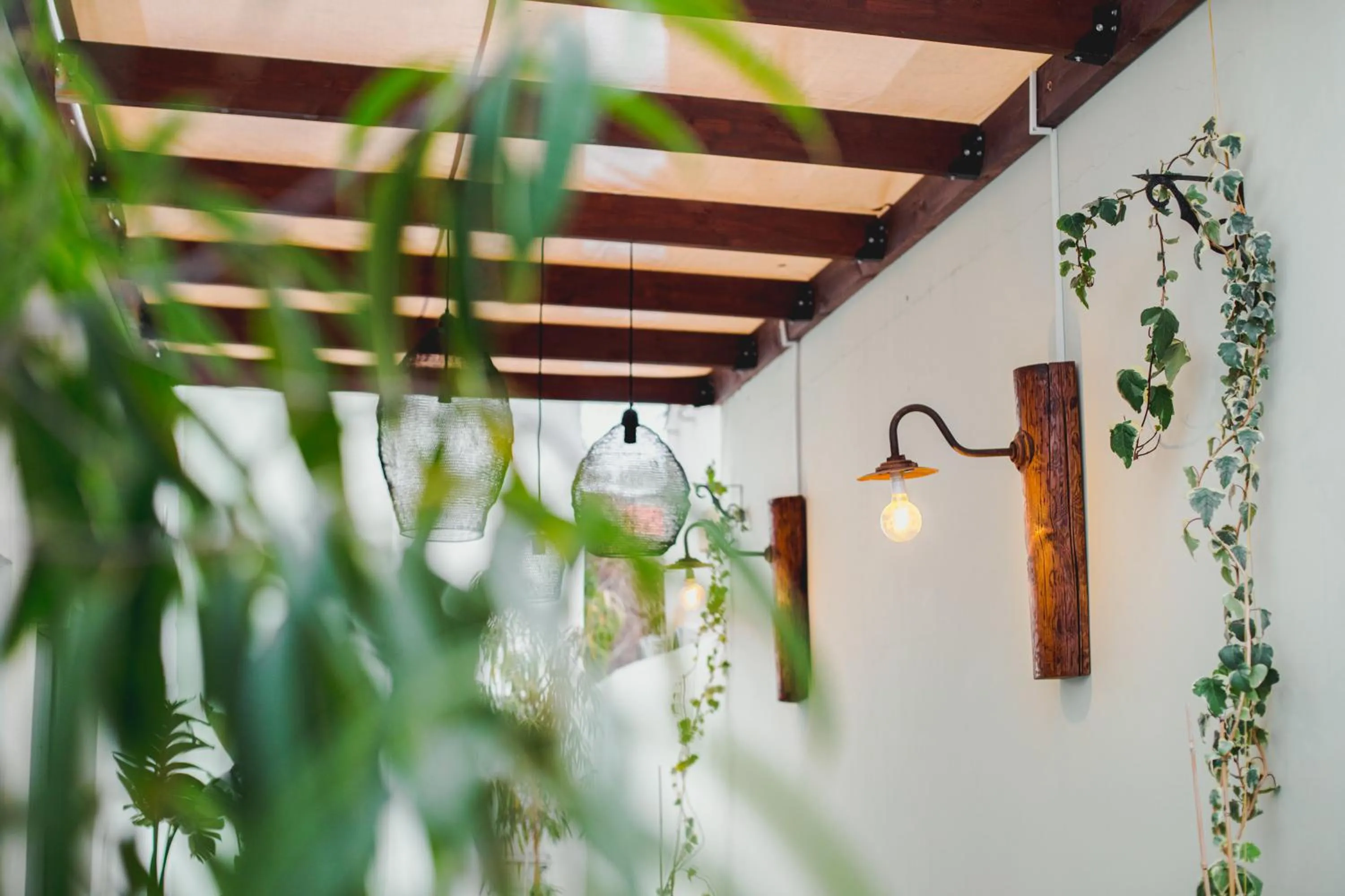 Garden in Roseum Boutique Hotel