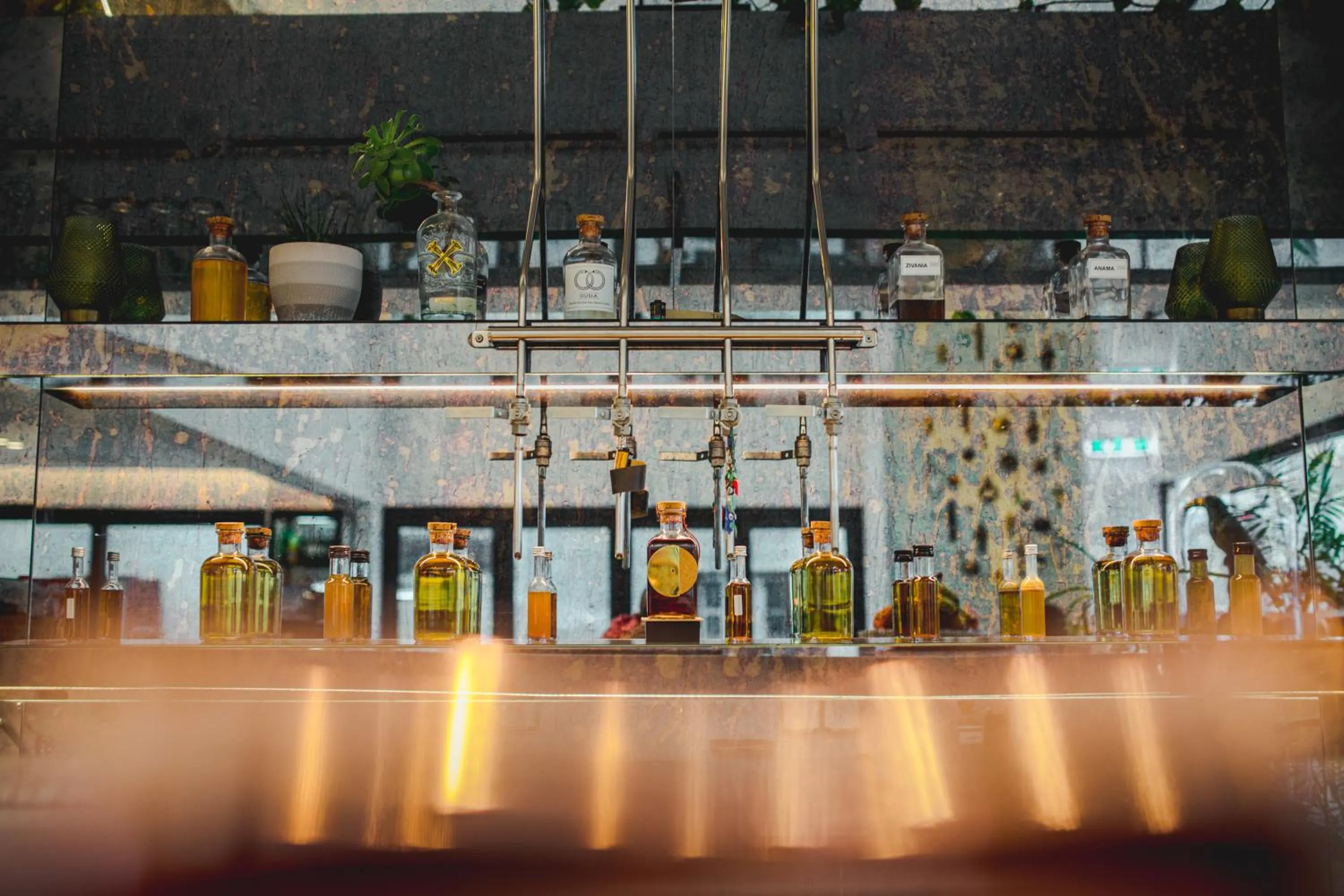 Lounge or bar in Roseum Boutique Hotel