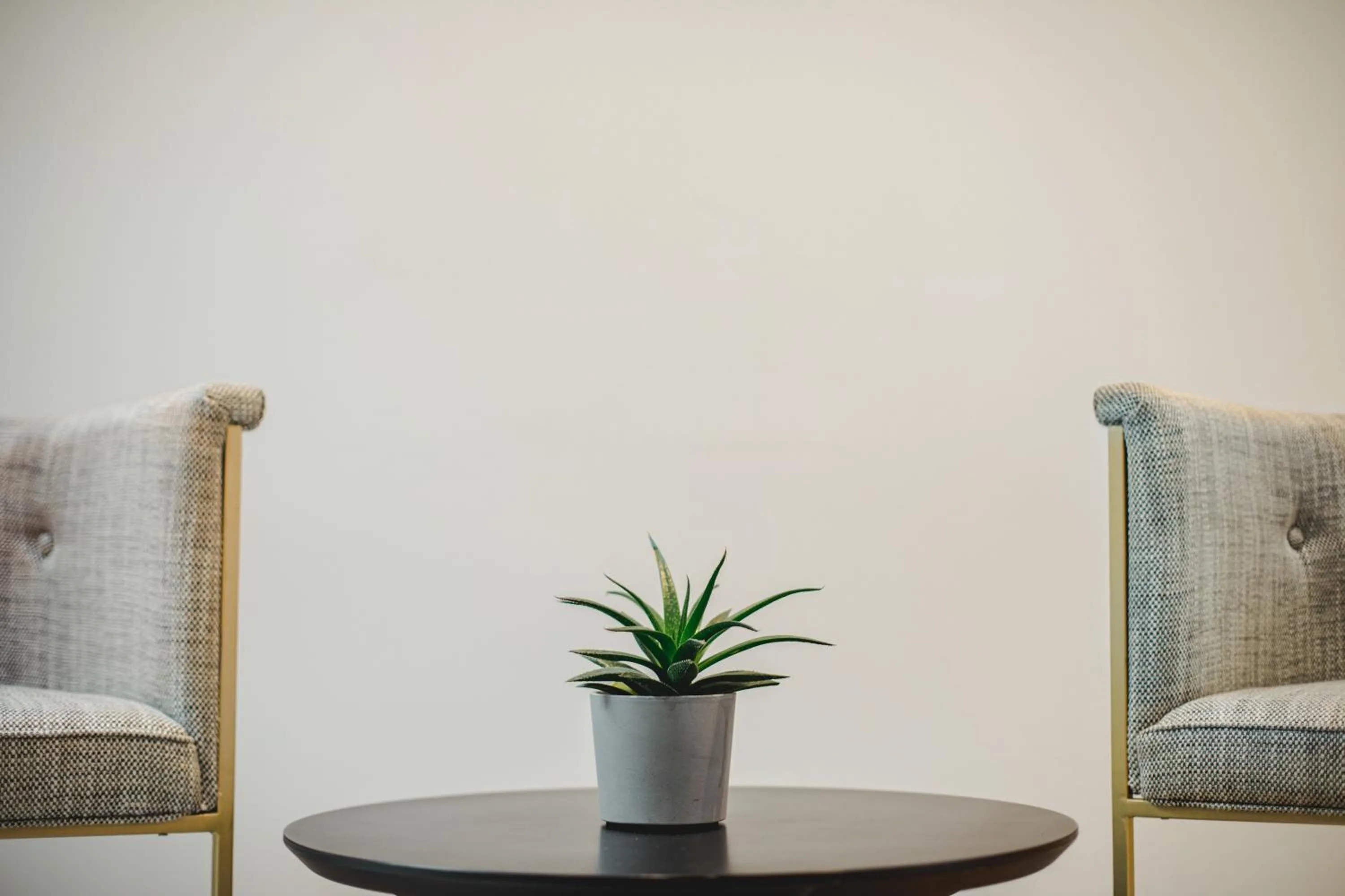 Lobby or reception in Roseum Boutique Hotel