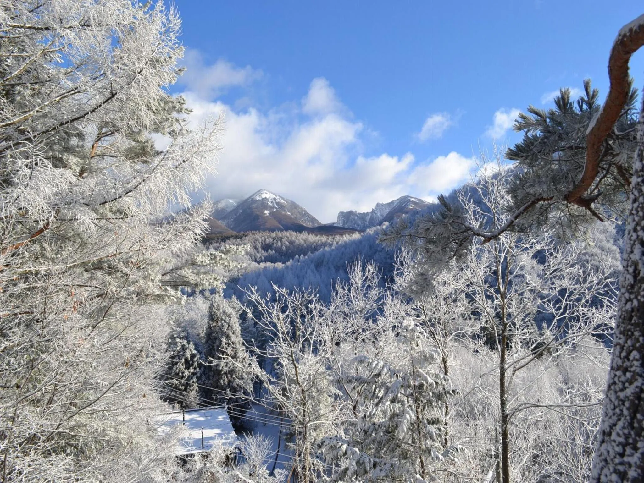 Natural landscape in Hishino Onsen Tokiwakan