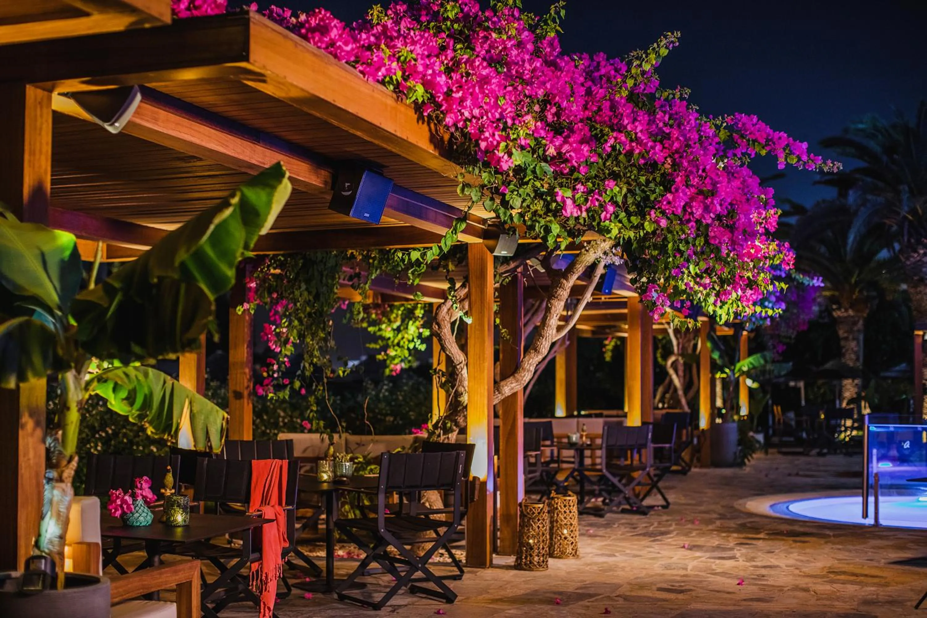 Restaurant/places to eat in Alion Beach Hotel