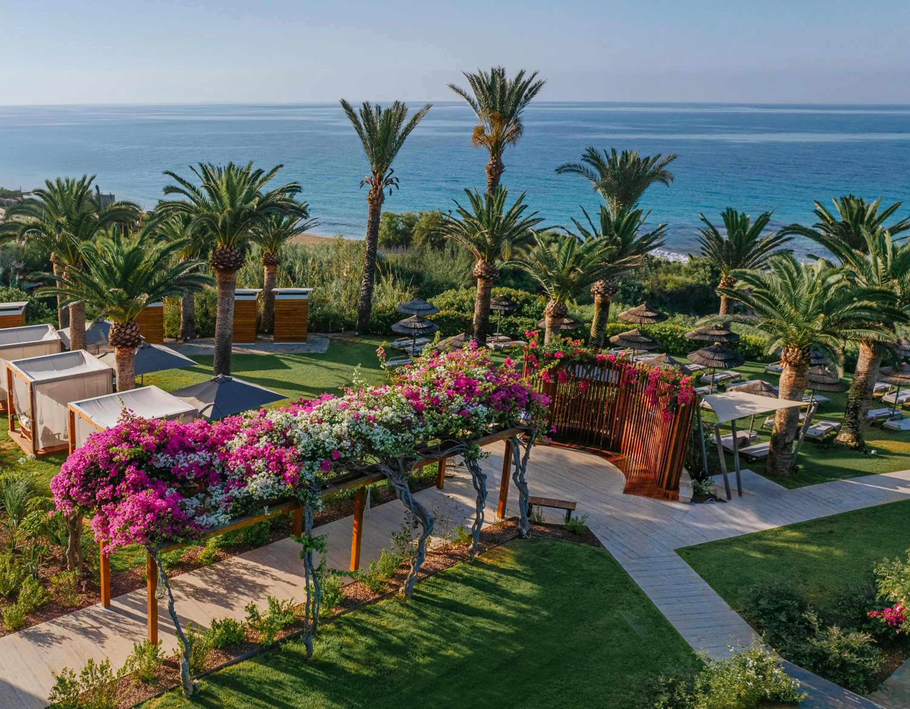 Garden in Alion Beach Hotel