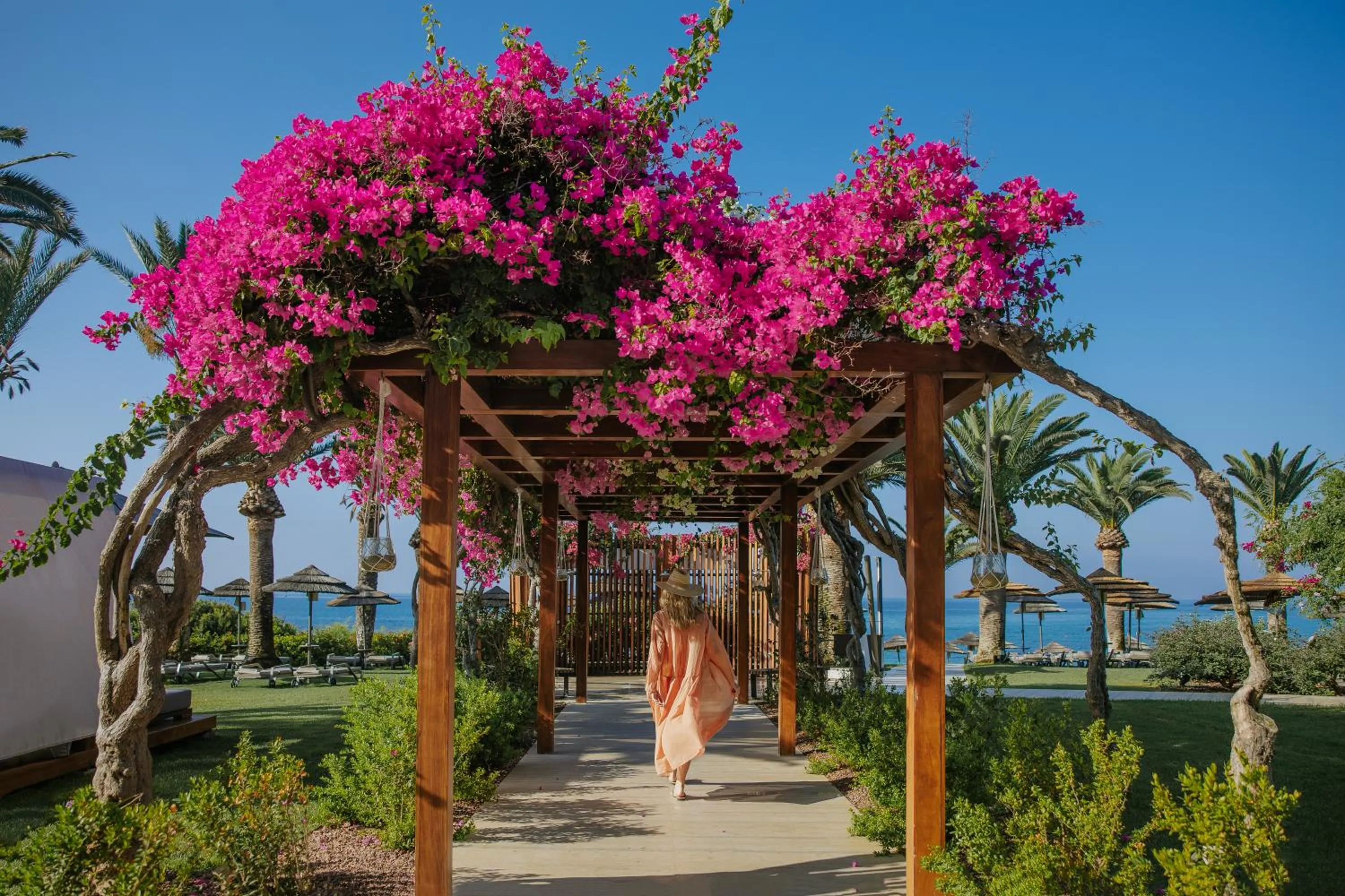 Natural landscape in Alion Beach Hotel