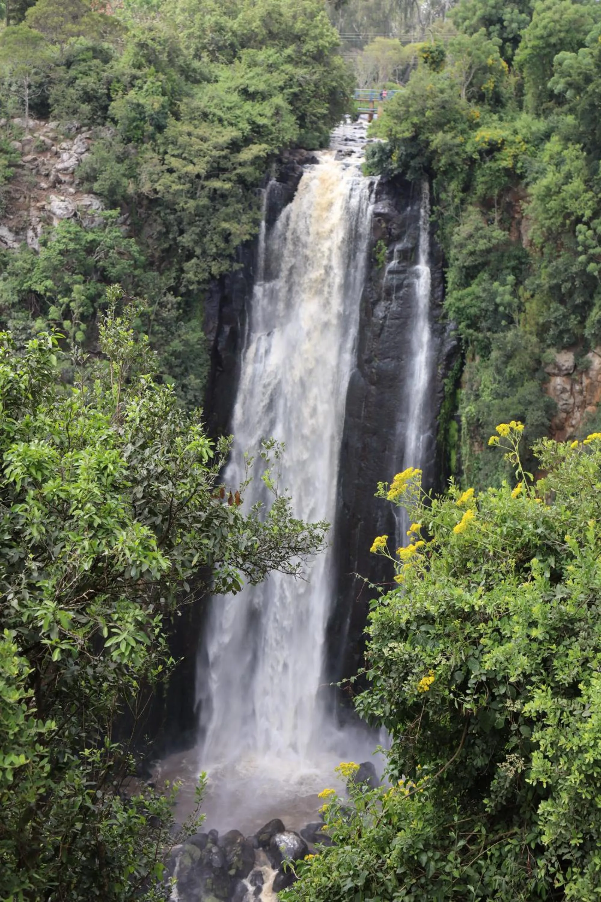 Nearby landmark in Panari Resort, BW Signature Collection