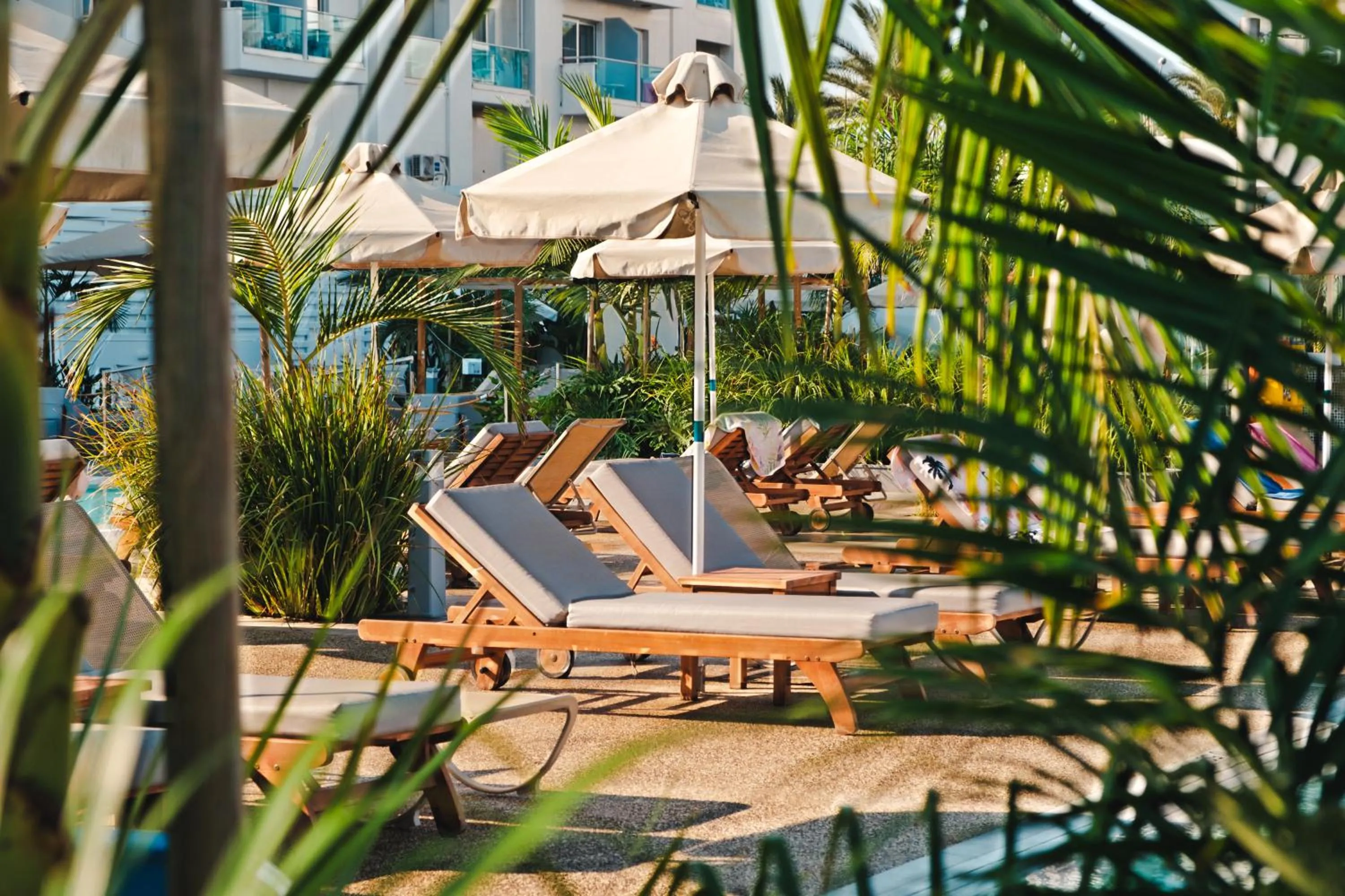 sunbed in Kapetanios Bay Hotel Protaras