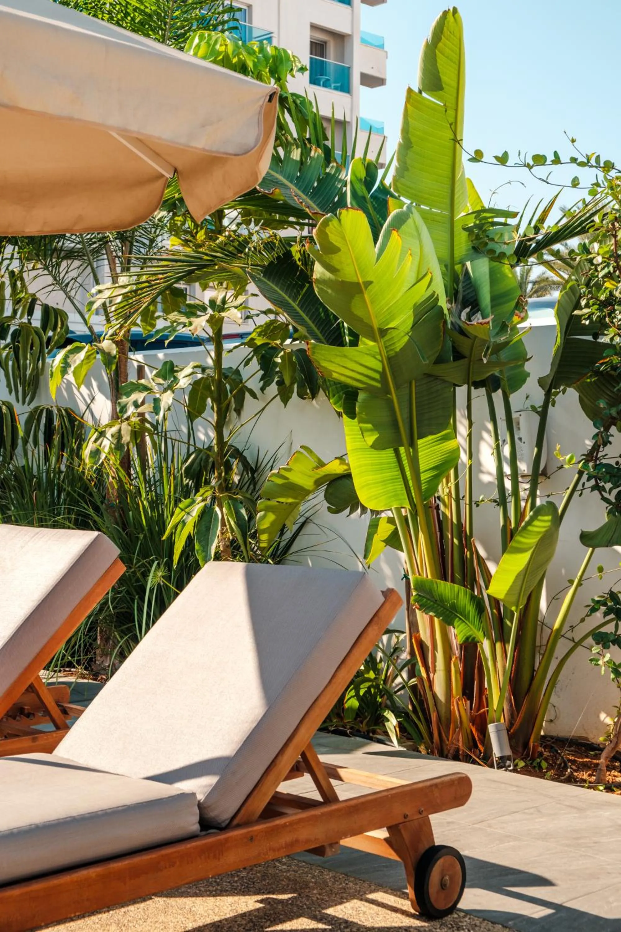 Garden view in Kapetanios Bay Hotel Protaras