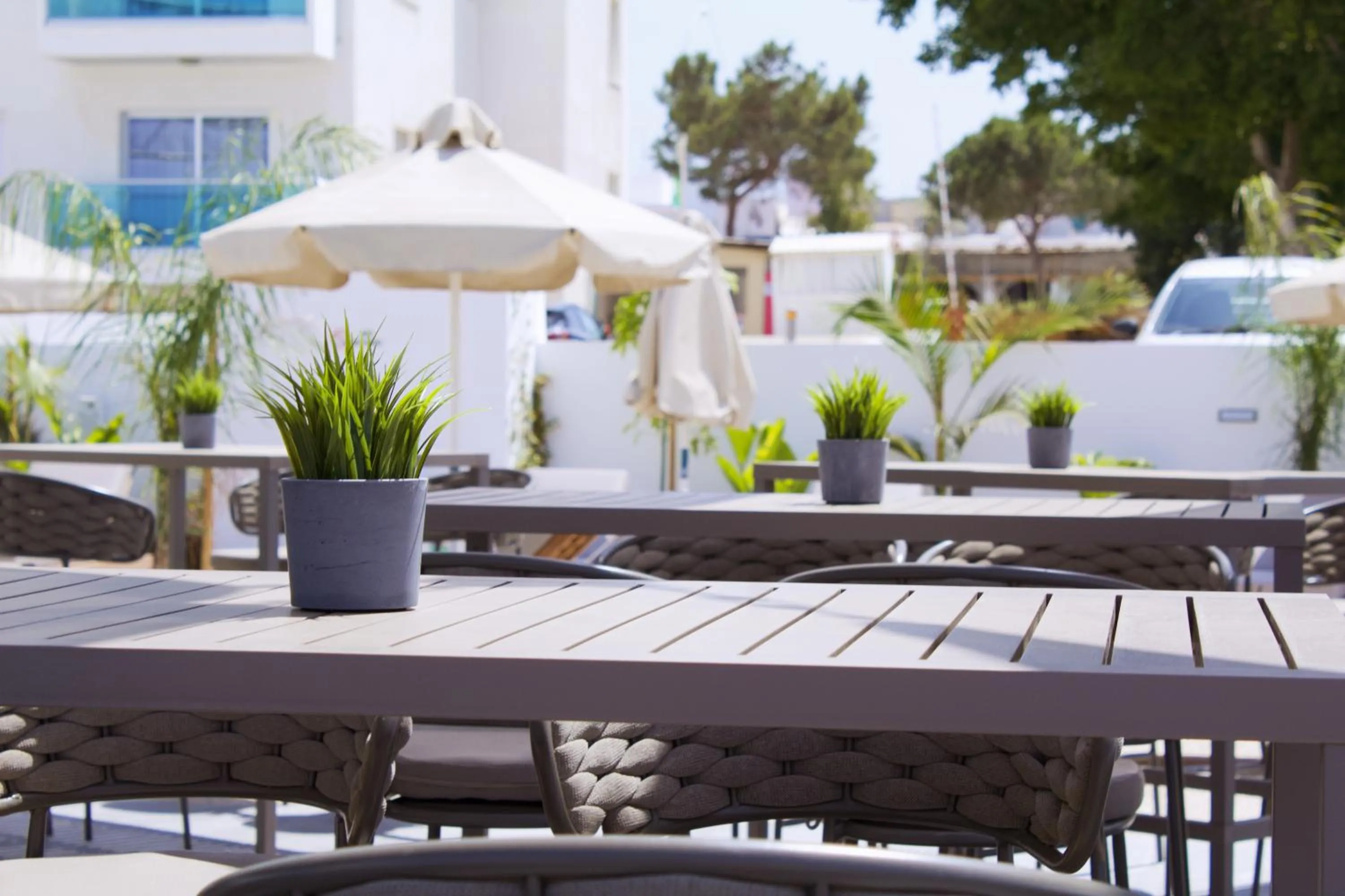 Lounge or bar in Kapetanios Bay Hotel Protaras