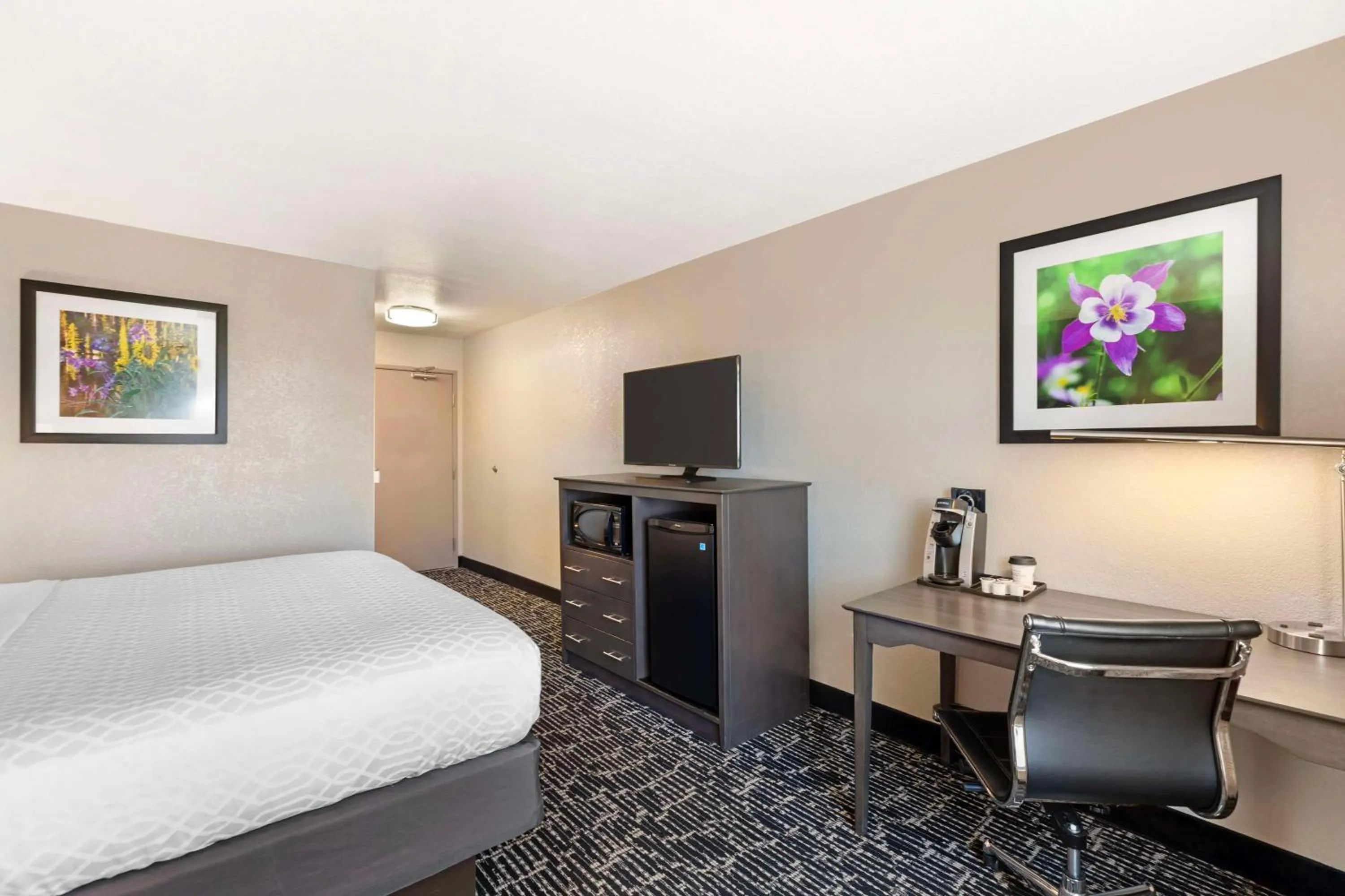 Bedroom, Bed in Best Western Greeley