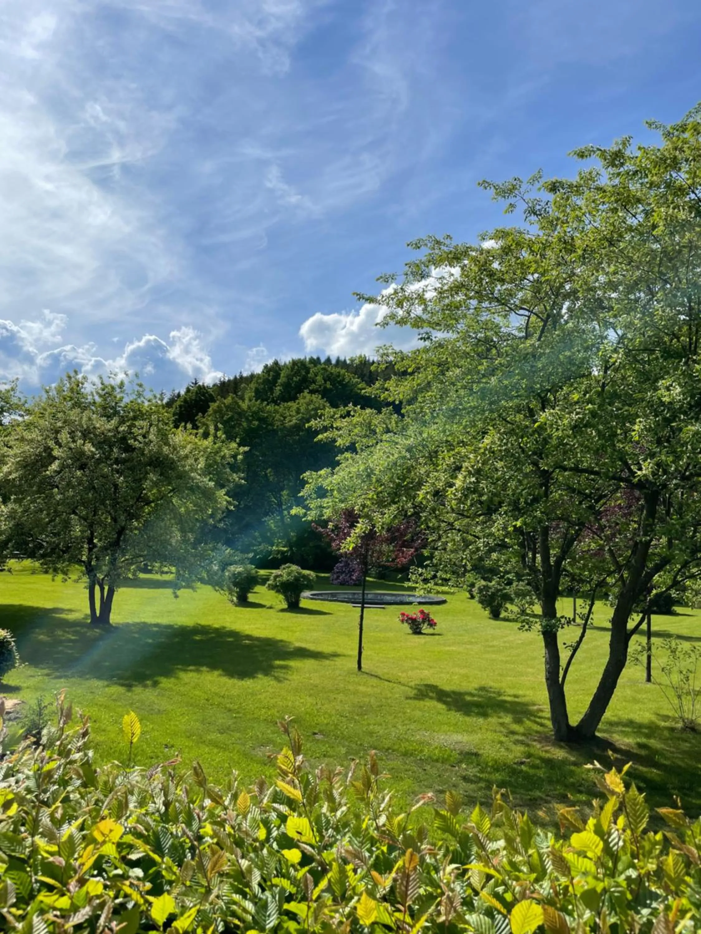 Neighbourhood in Flair-Hotel Waldfrieden