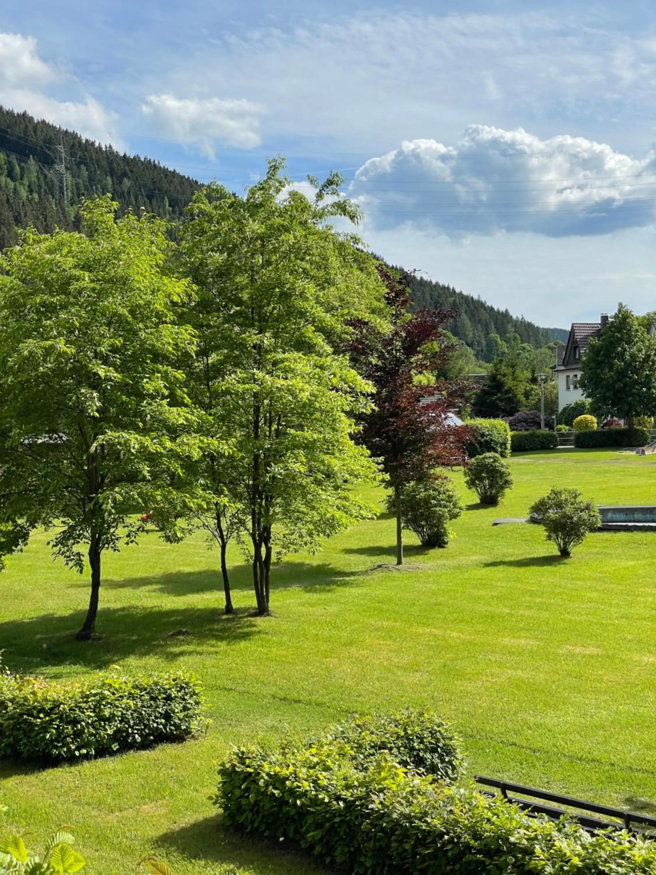 Natural landscape in Flair-Hotel Waldfrieden