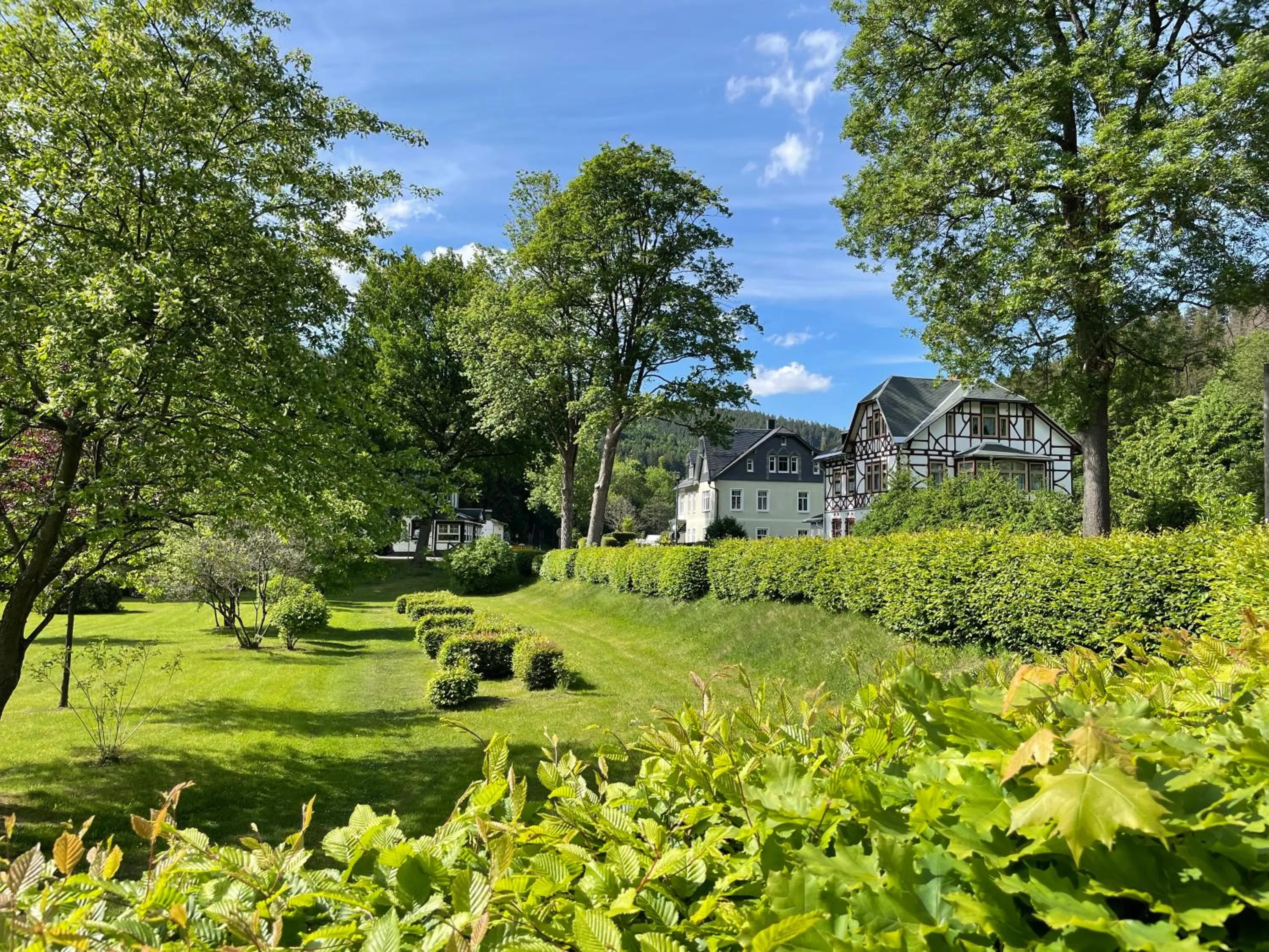 Day in Flair-Hotel Waldfrieden
