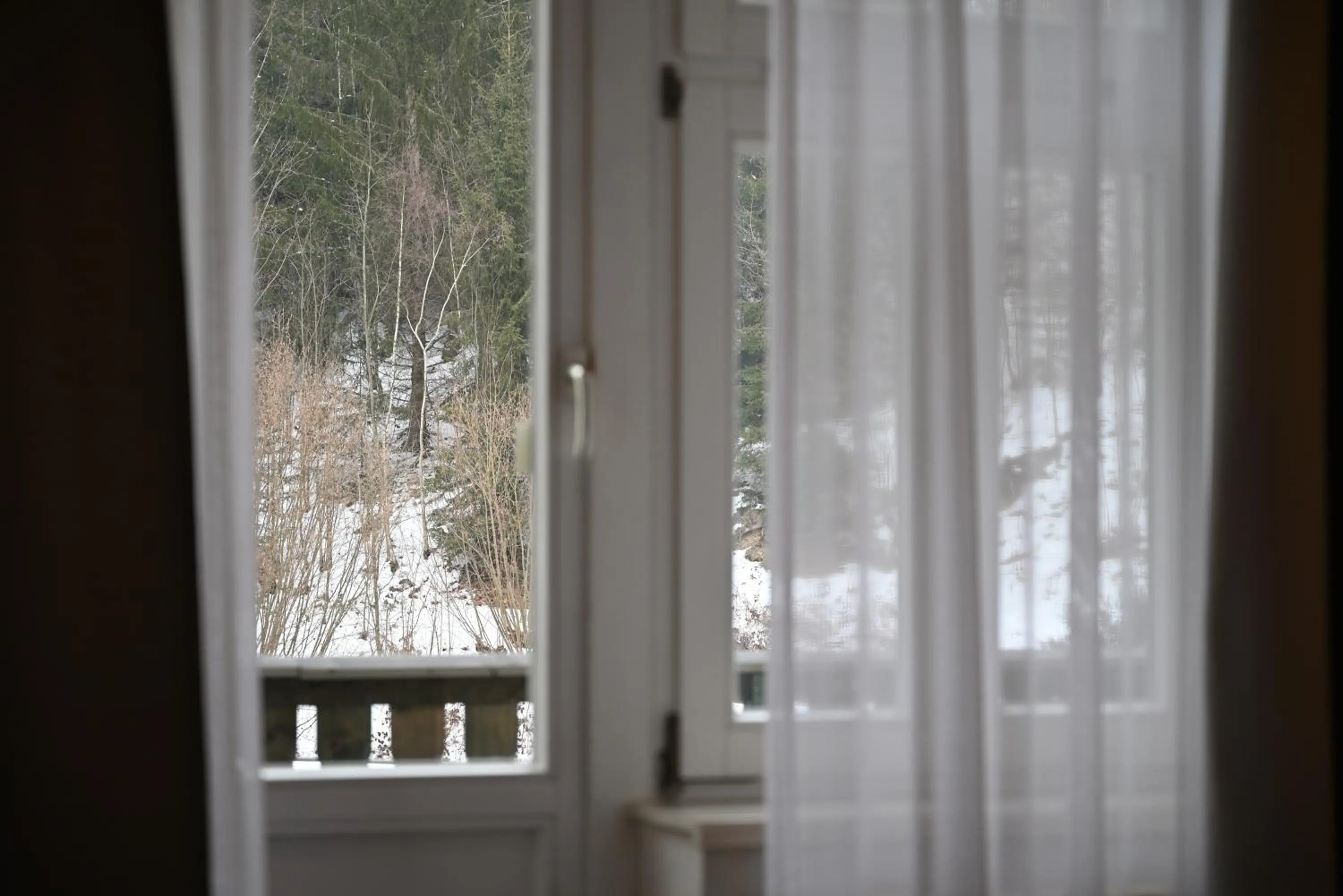 View (from property/room) in Flair-Hotel Waldfrieden