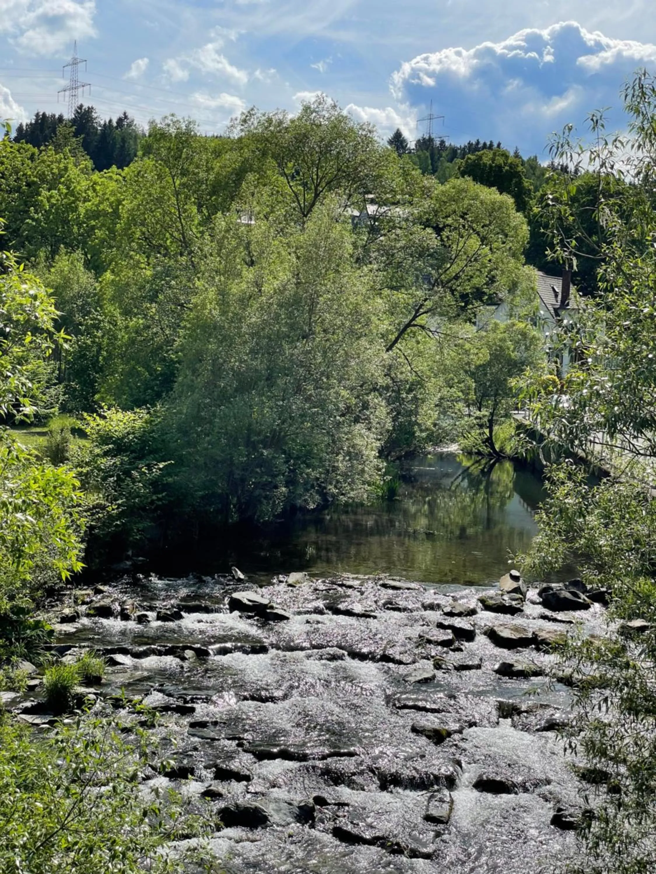 Day in Flair-Hotel Waldfrieden