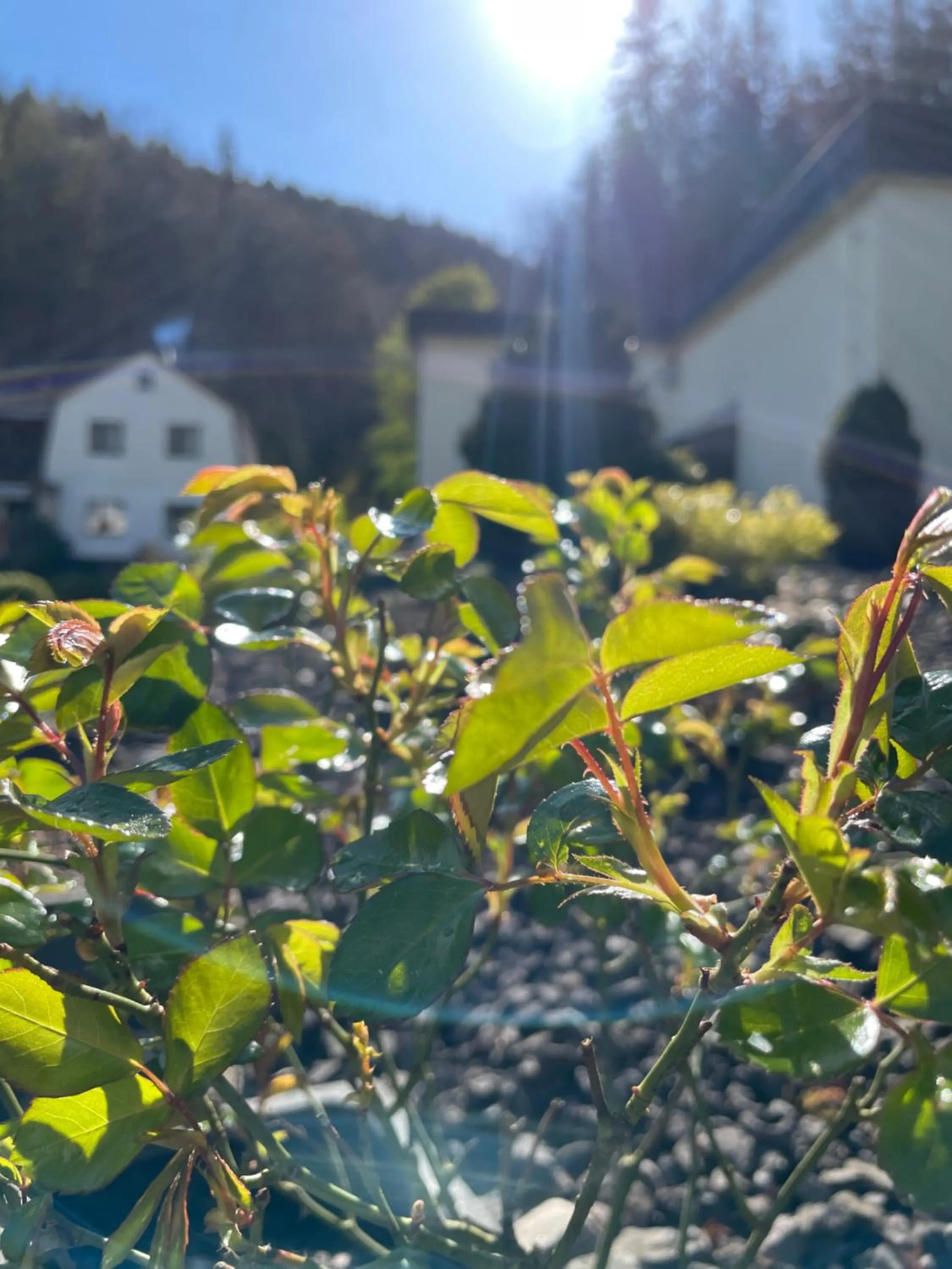 Property building in Flair-Hotel Waldfrieden