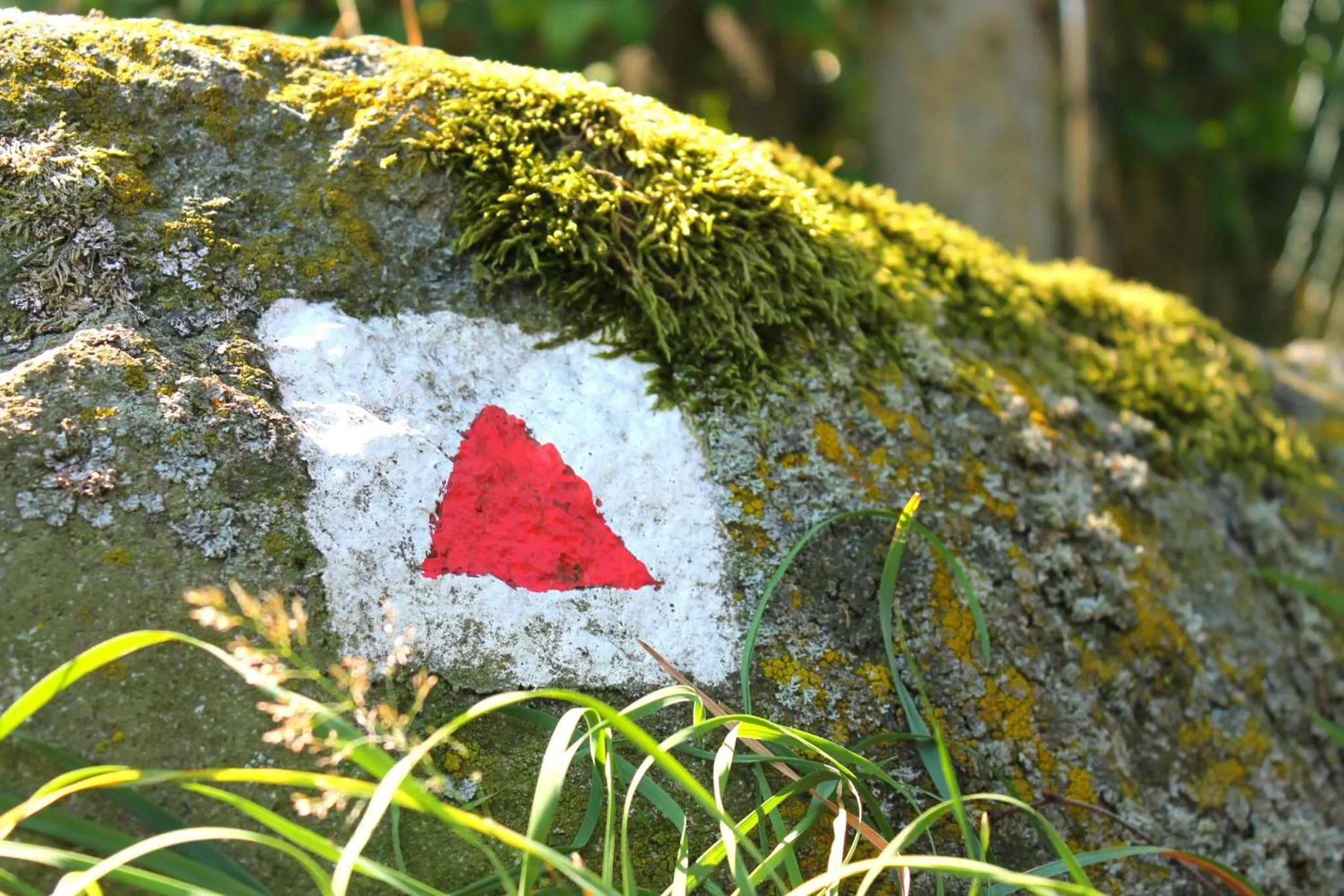 Day in Flair-Hotel Waldfrieden