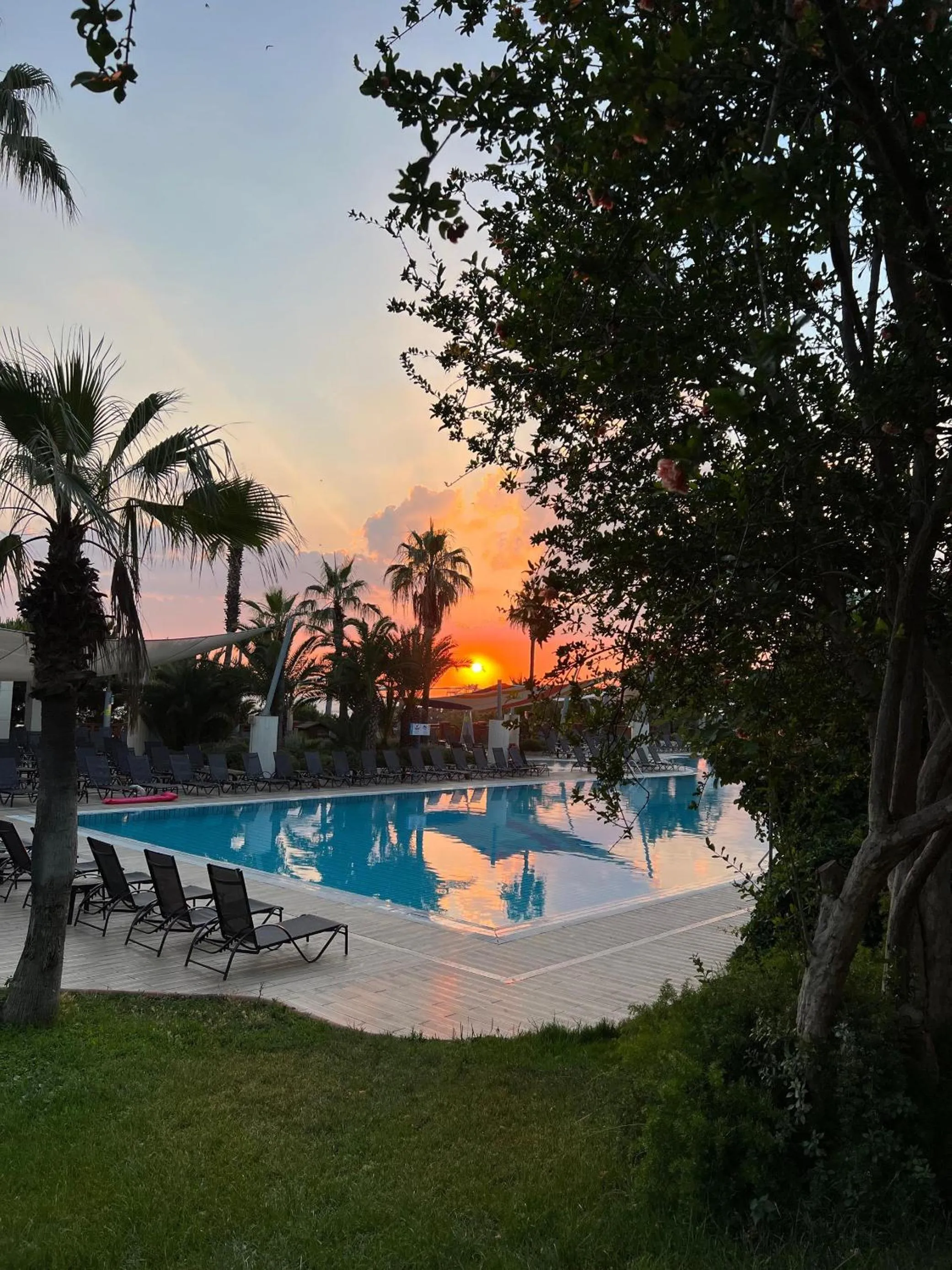 Natural landscape in Pine Bay Holiday Resort