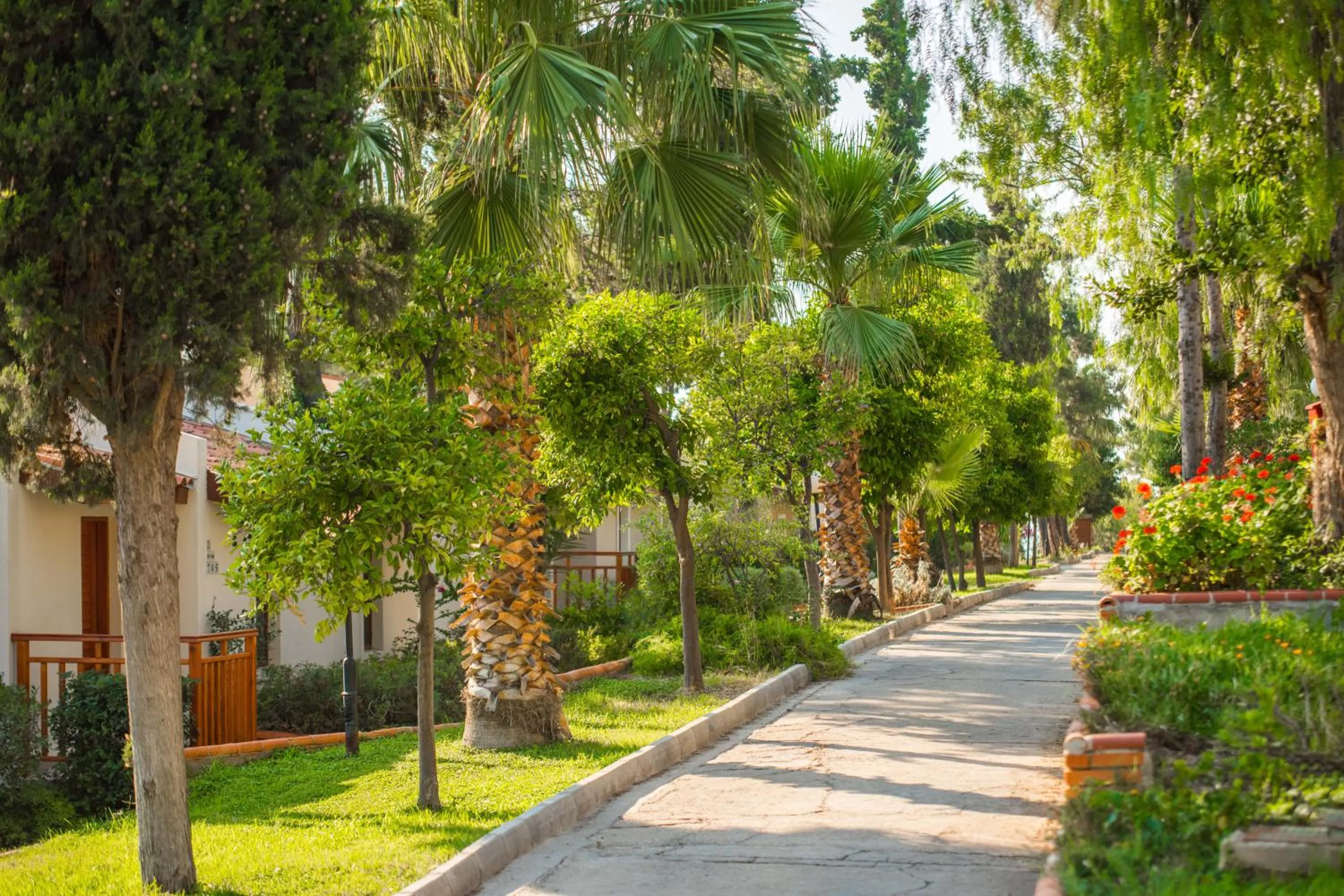 View (from property/room) in Pine Bay Holiday Resort