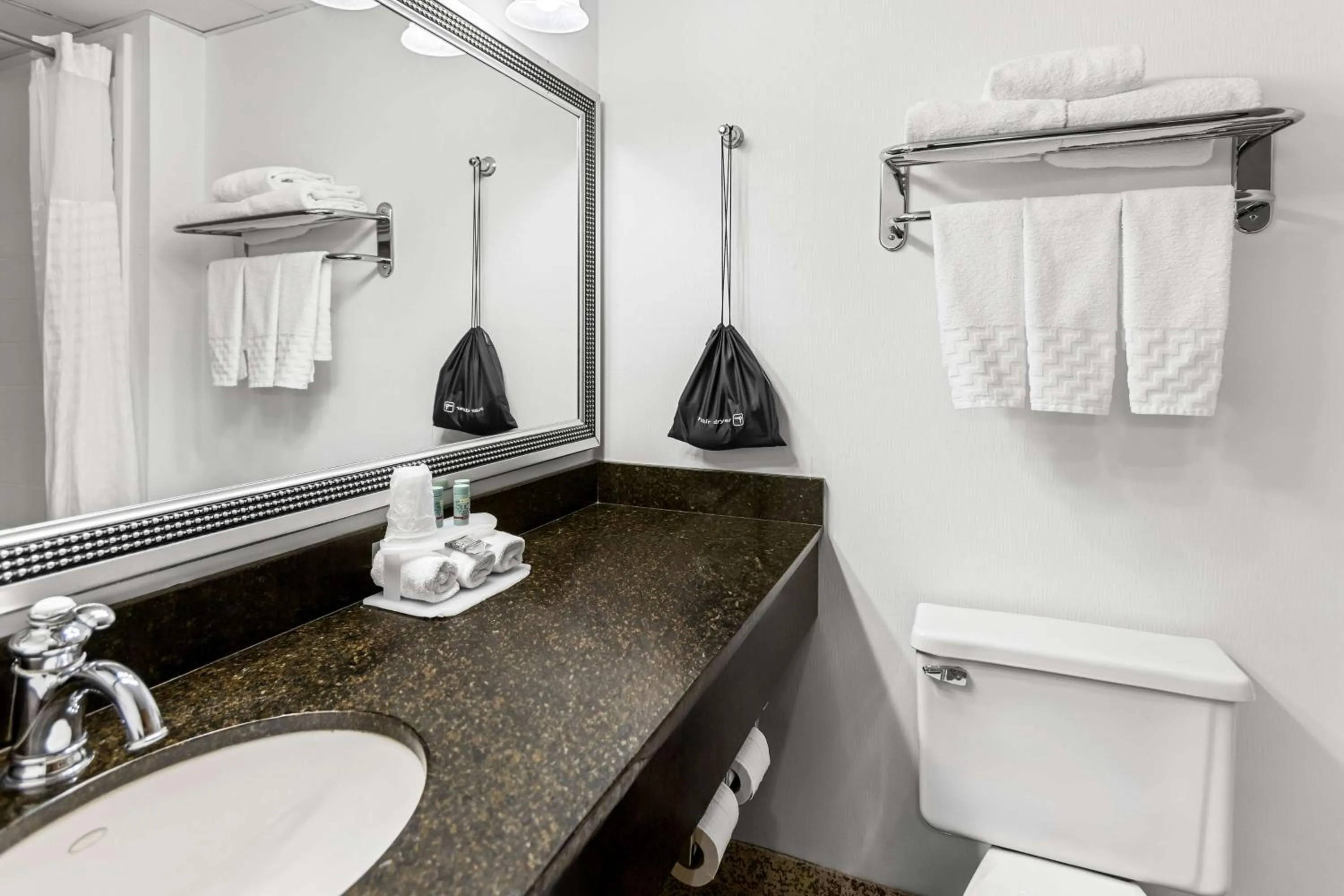 Bathroom in Best Western Gaylord