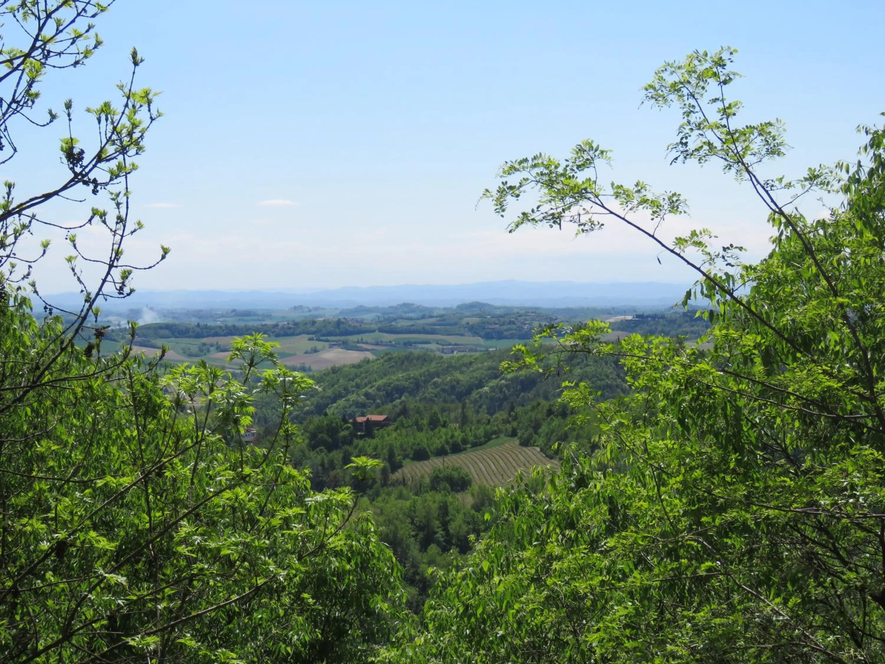 Nearby landmark in Relais Palazzo Paleologi Sec.XIV