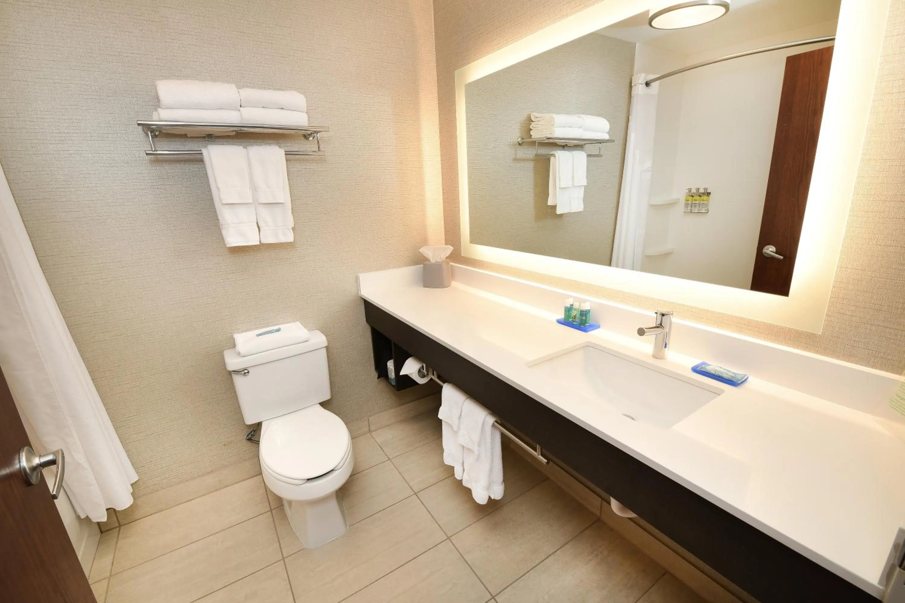 Bathroom in Holiday Inn Express Hotel & Suites Grand Forks by IHG