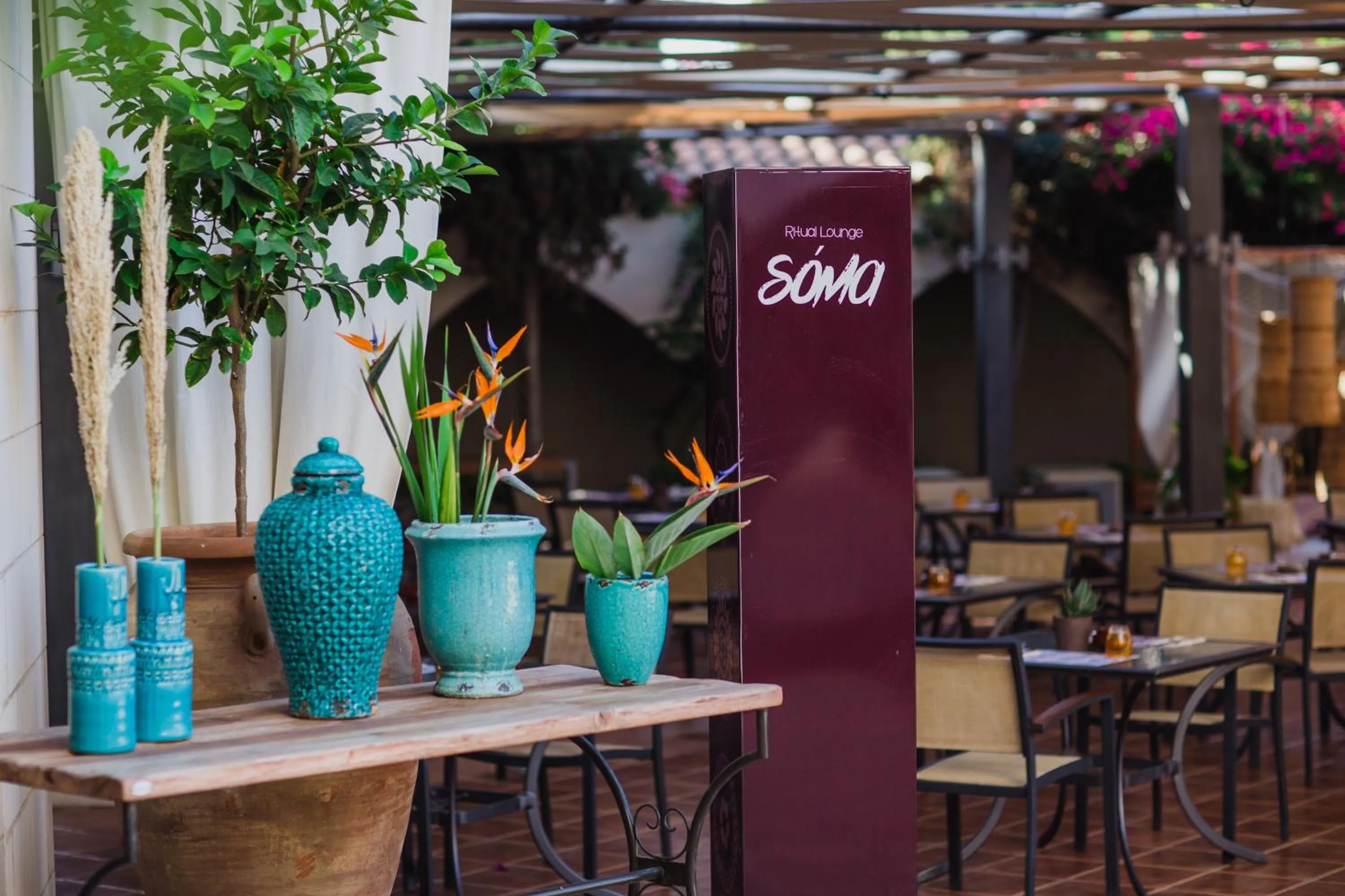 Lounge or bar in Napa Plaza Hotel (Adults Only)