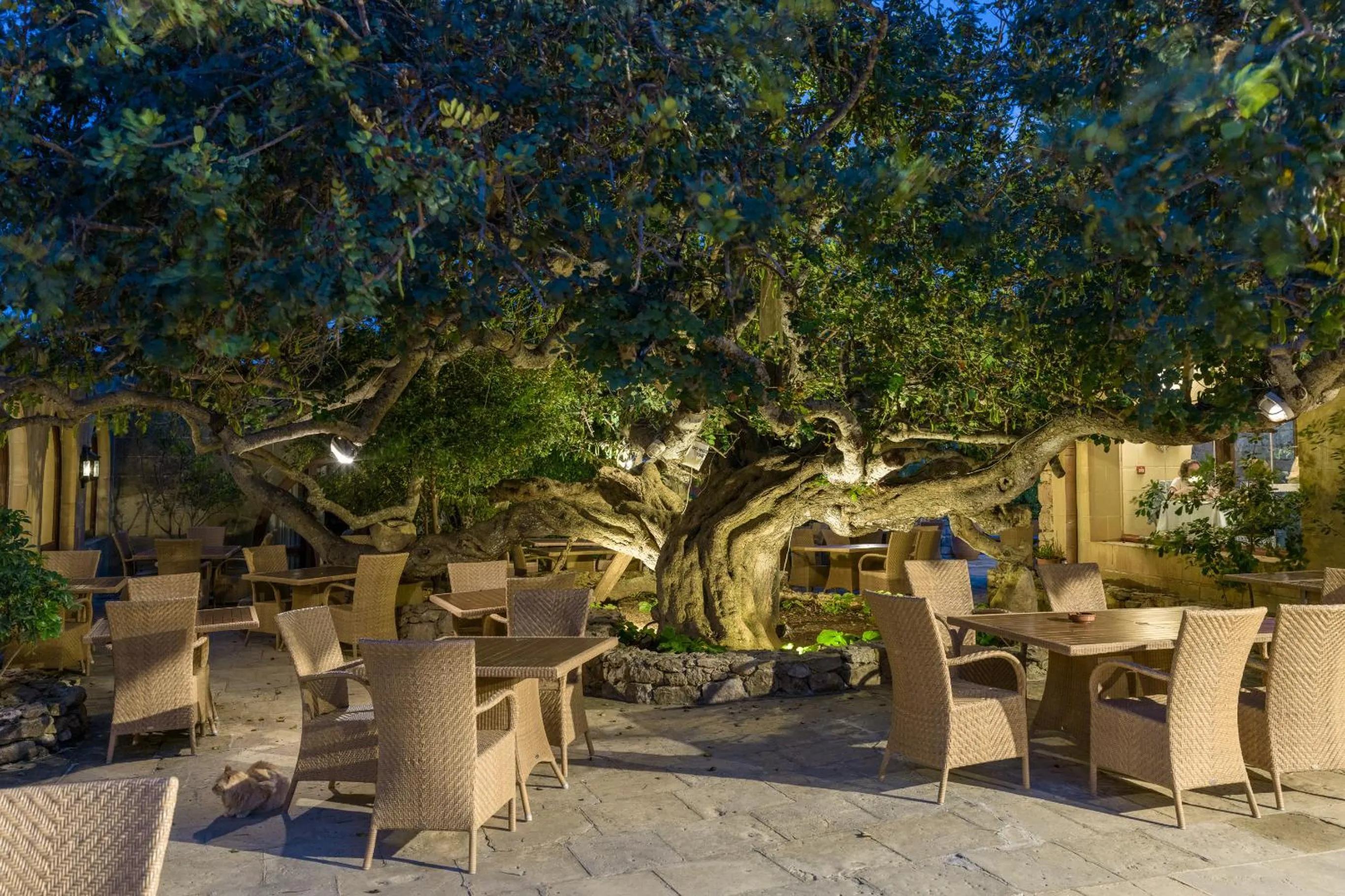 Restaurant/places to eat in Hotel Ta' Cenc & Spa