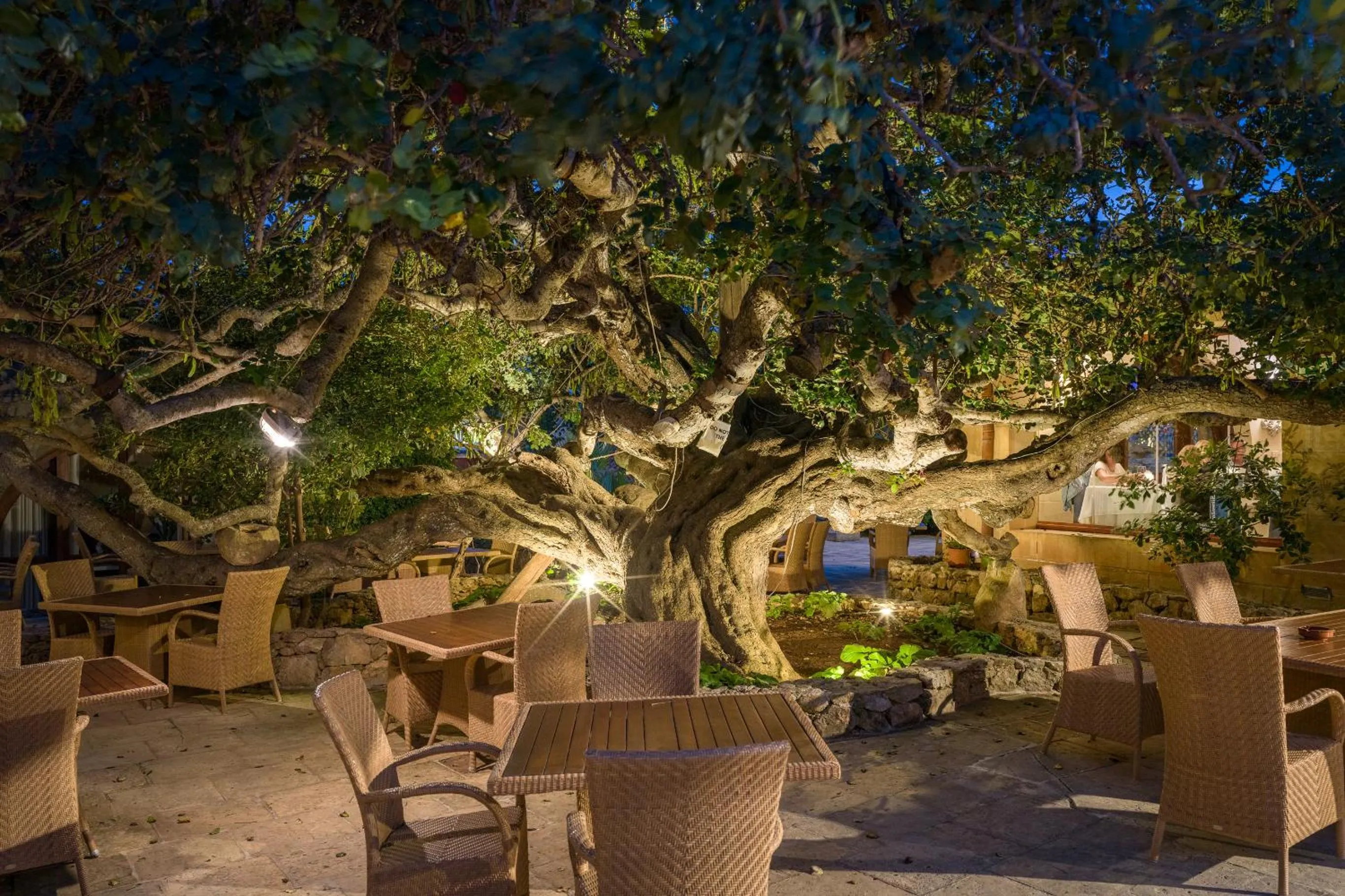 Restaurant/places to eat in Hotel Ta' Cenc & Spa