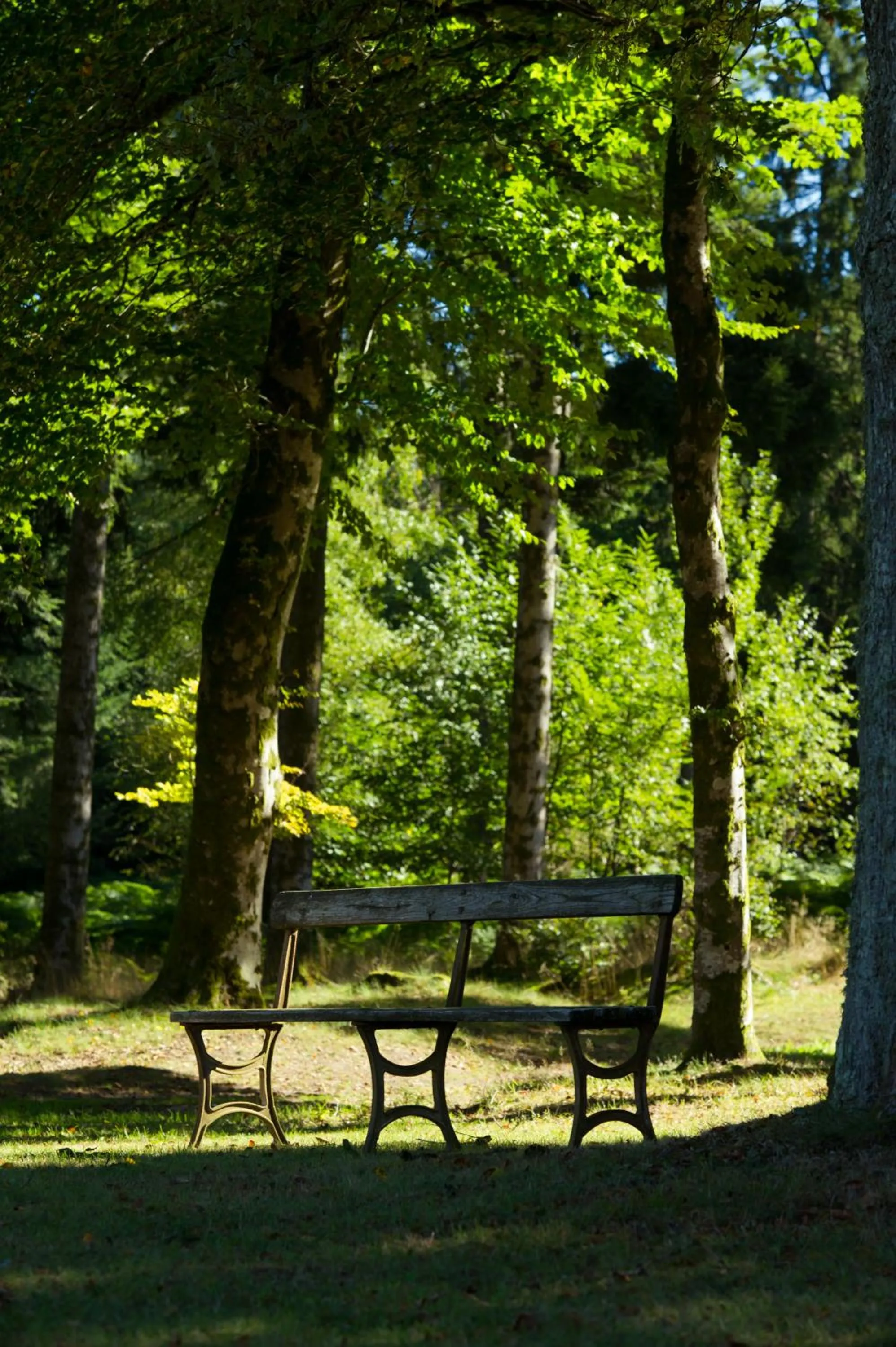 Natural landscape in La Chapelle Saint Martin