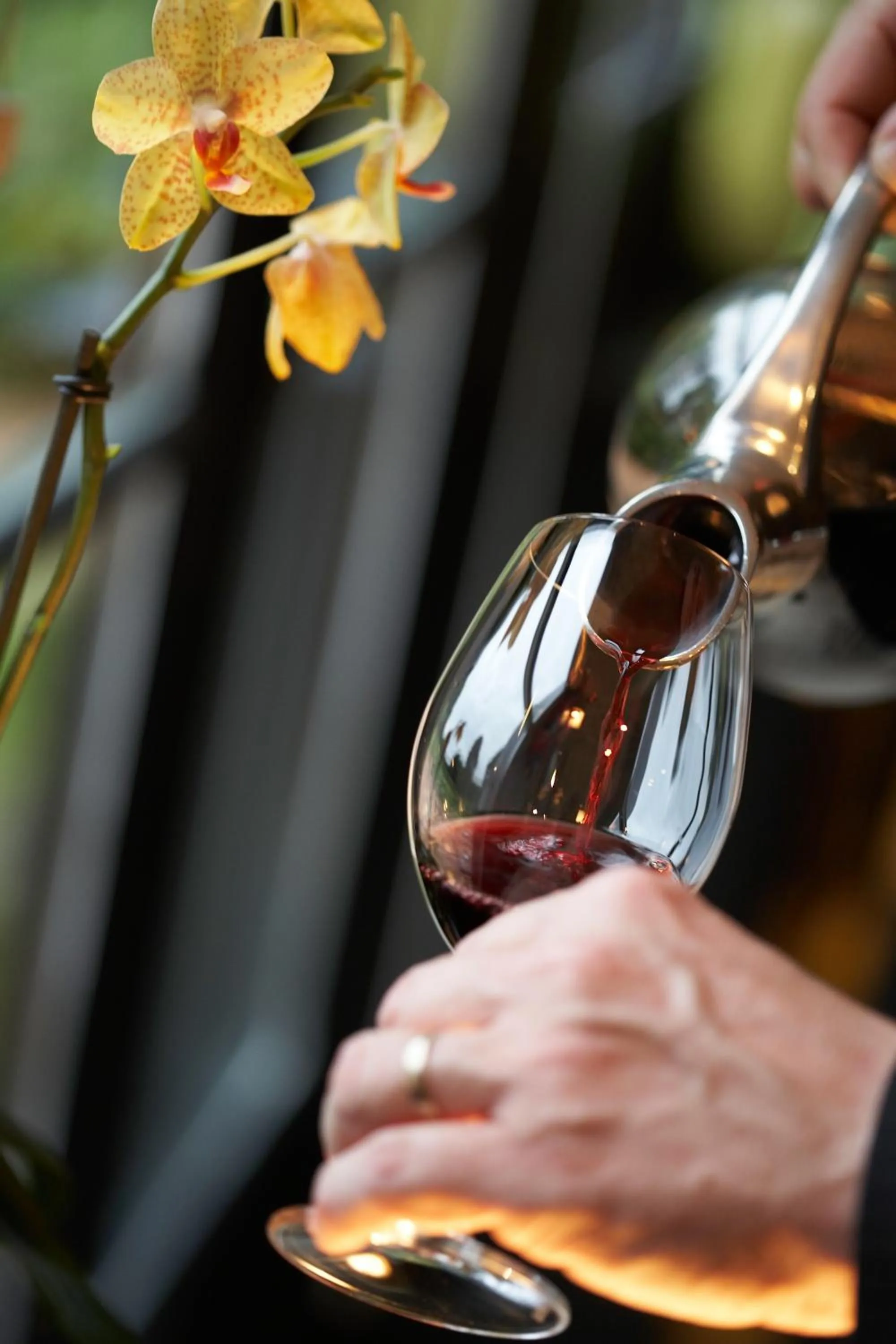 Alcoholic drinks in La Chapelle Saint Martin