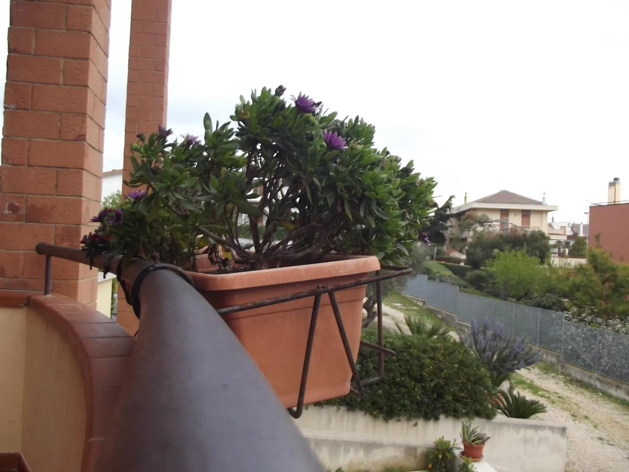 Balcony/Terrace in La Specchia