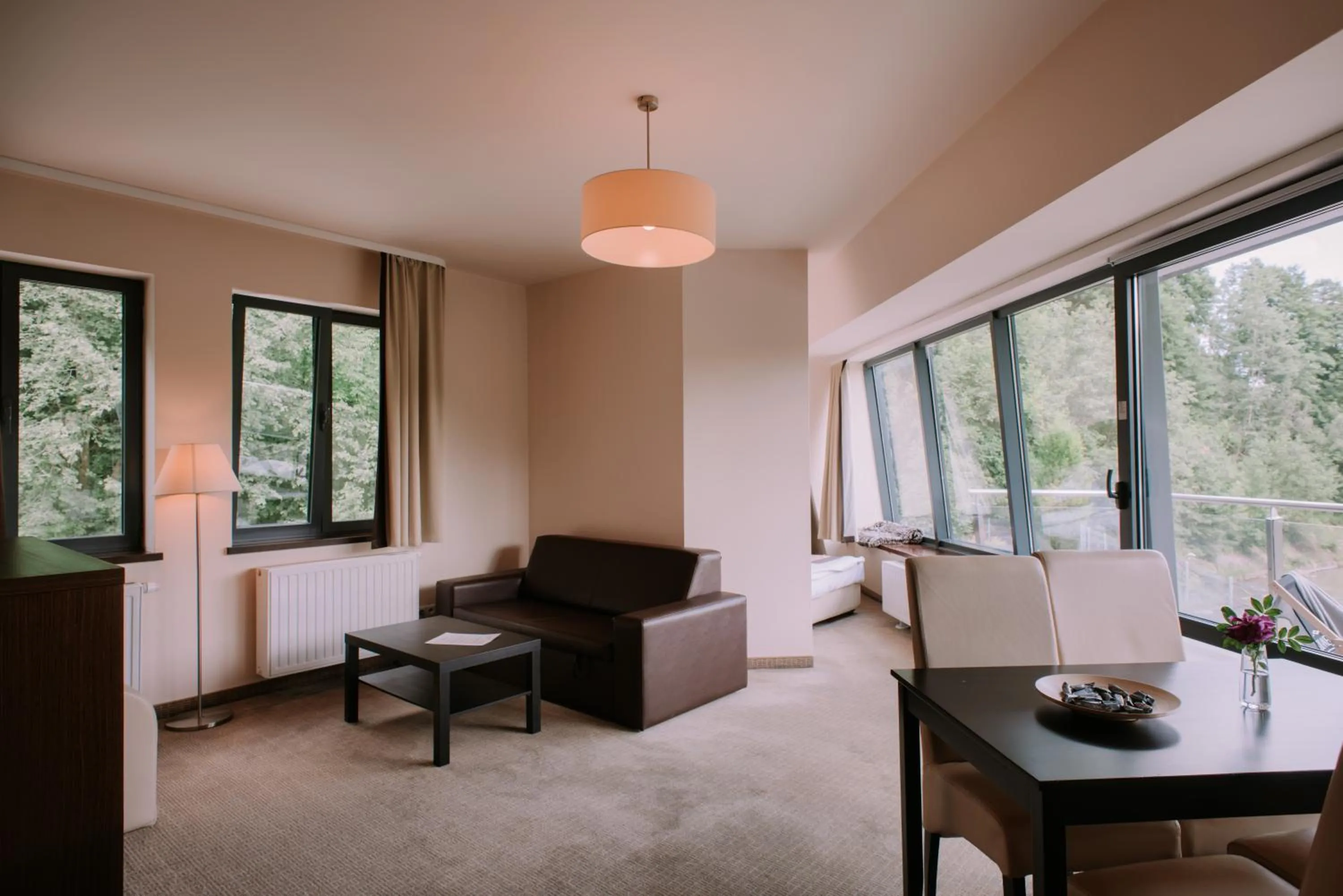 Living room in Szklane Domy