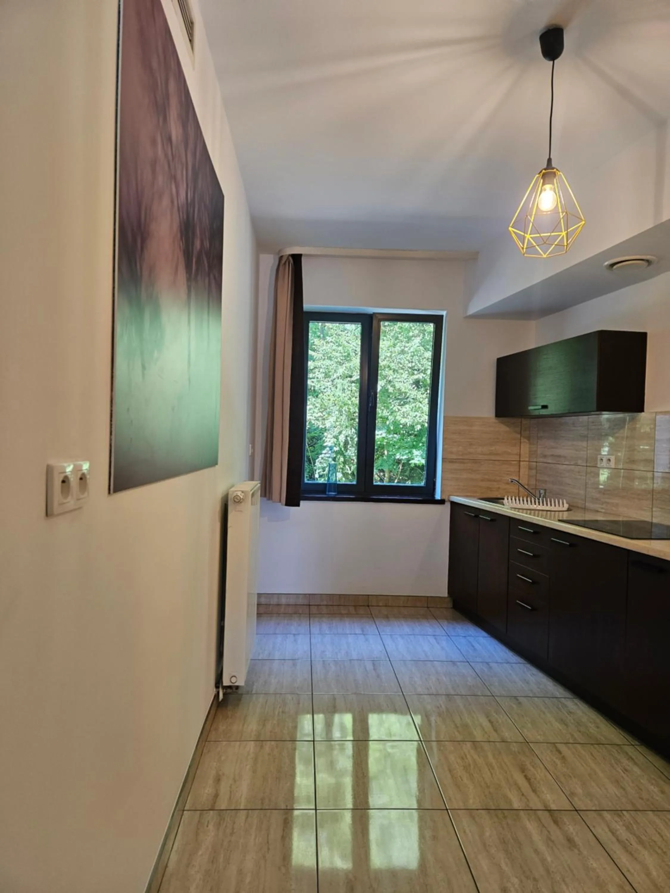 Kitchen or kitchenette in Szklane Domy