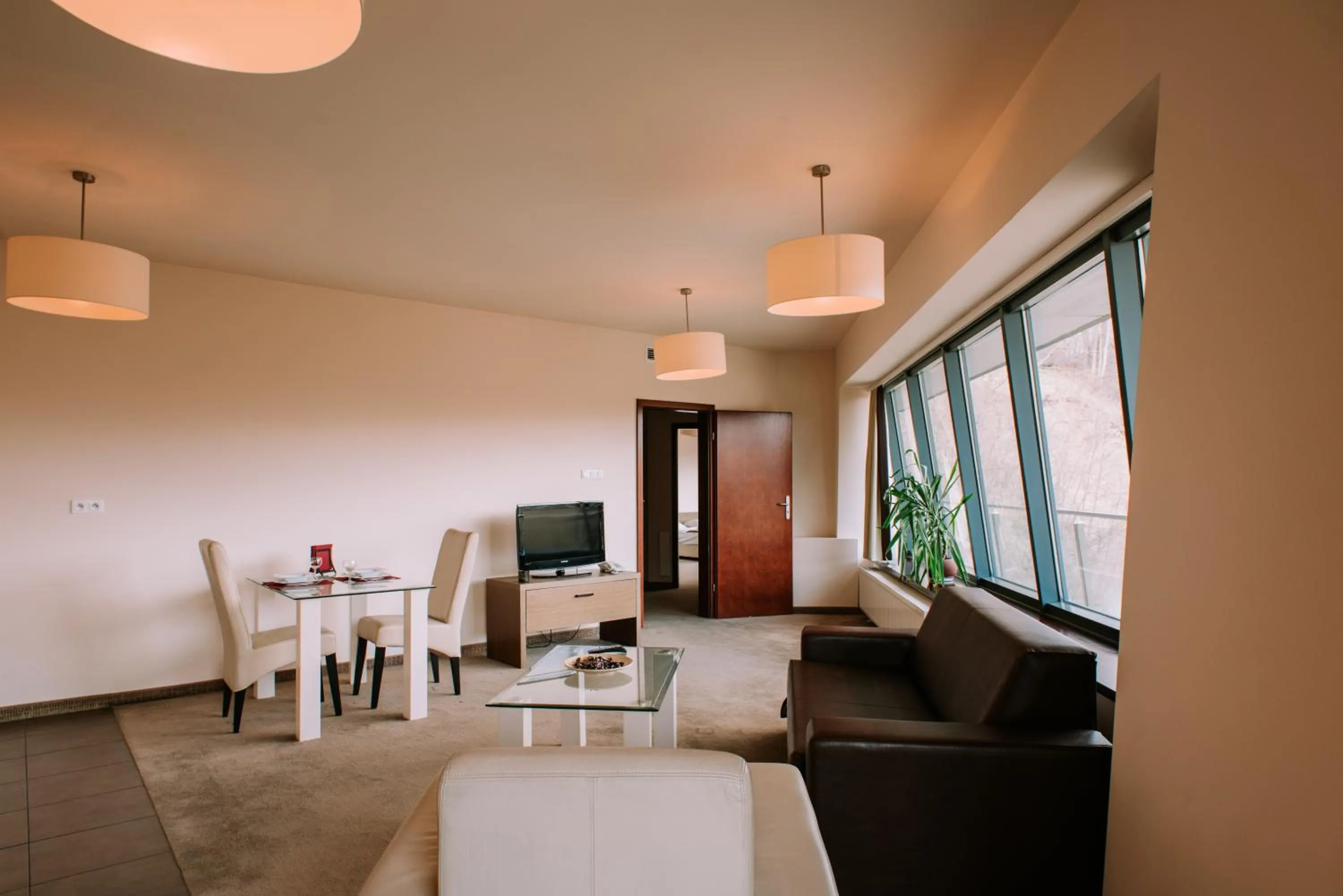 Living room in Szklane Domy