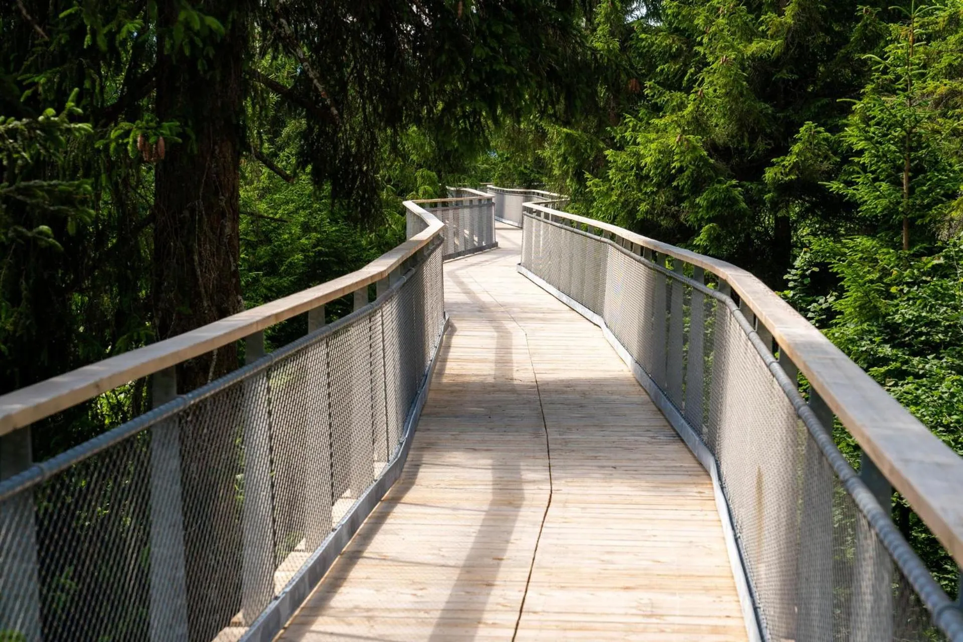 Activities in rocksresort