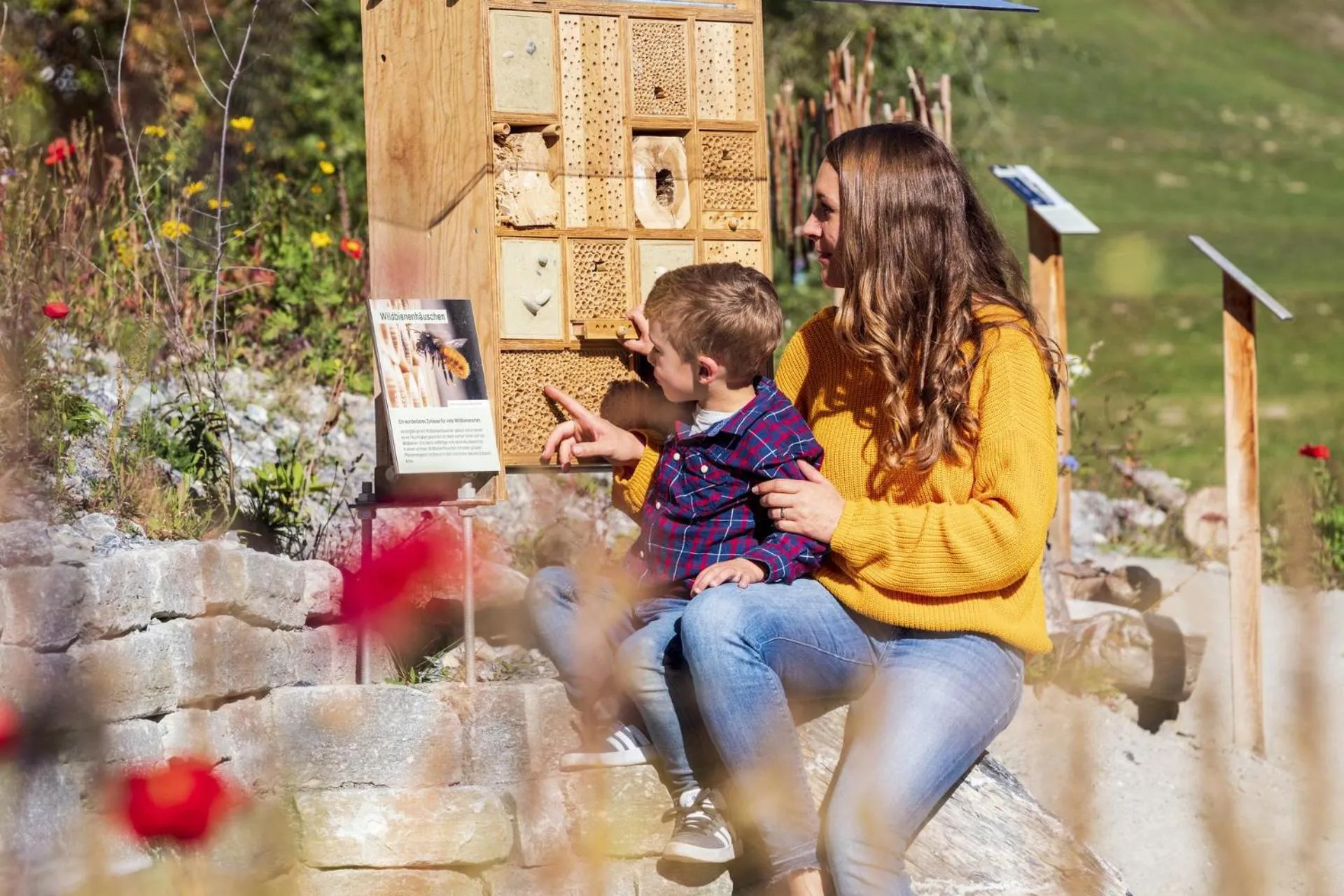 Activities in rocksresort