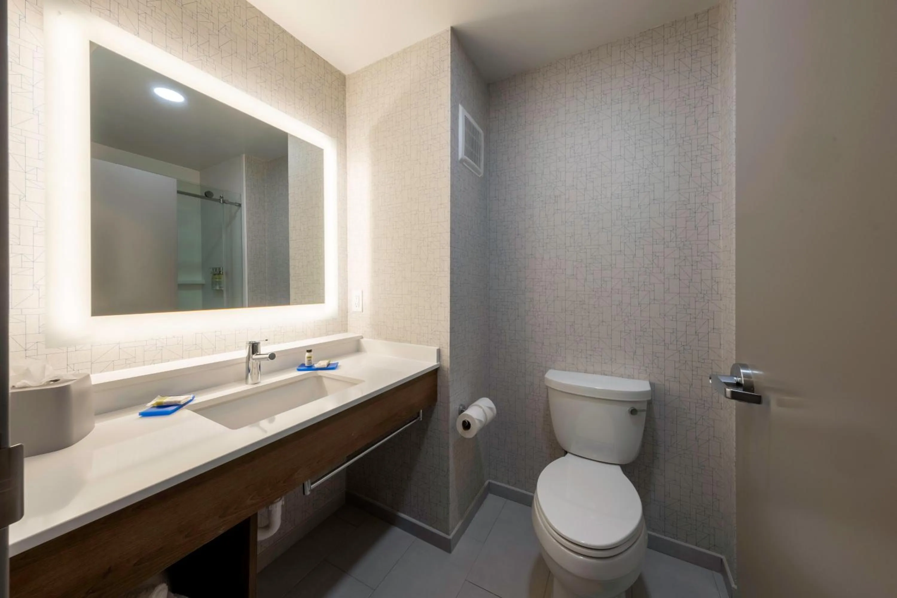 Bathroom in Holiday Inn Express Hotel & Suites Petersburg/Dinwiddie by IHG