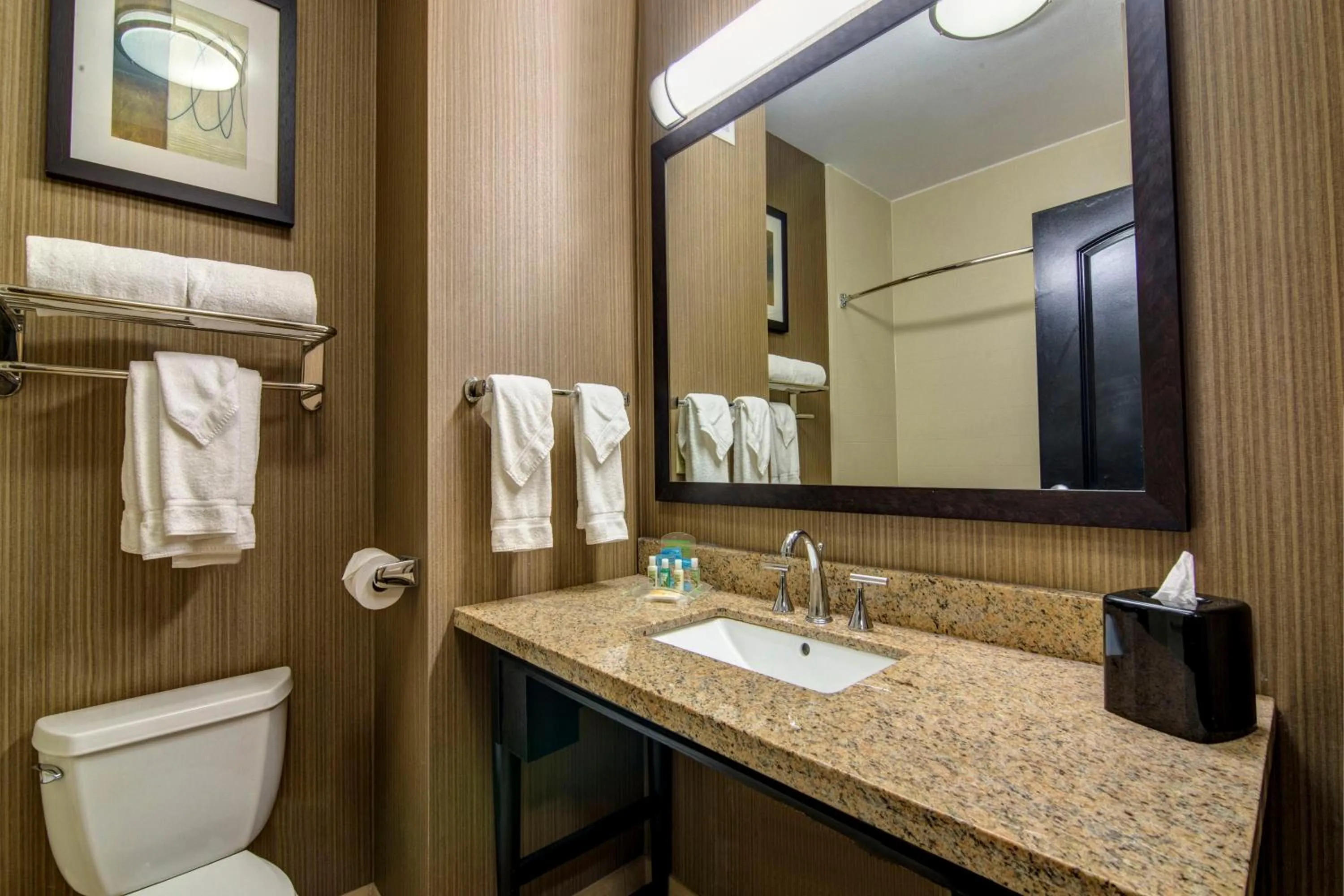 Bathroom in Holiday Inn Express Hotel & Suites Huntsville by IHG