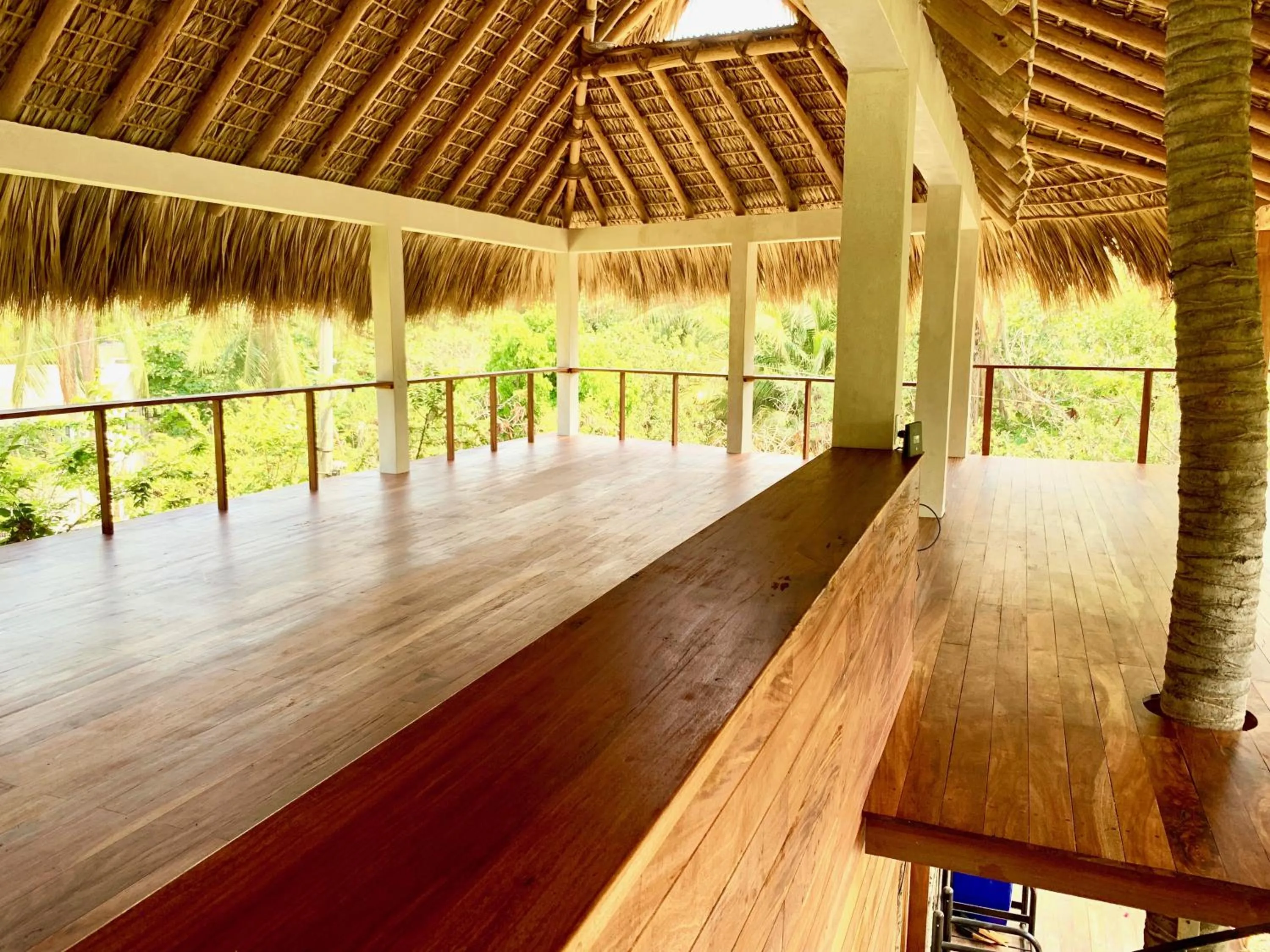 Area and facilities in Hotel Noga