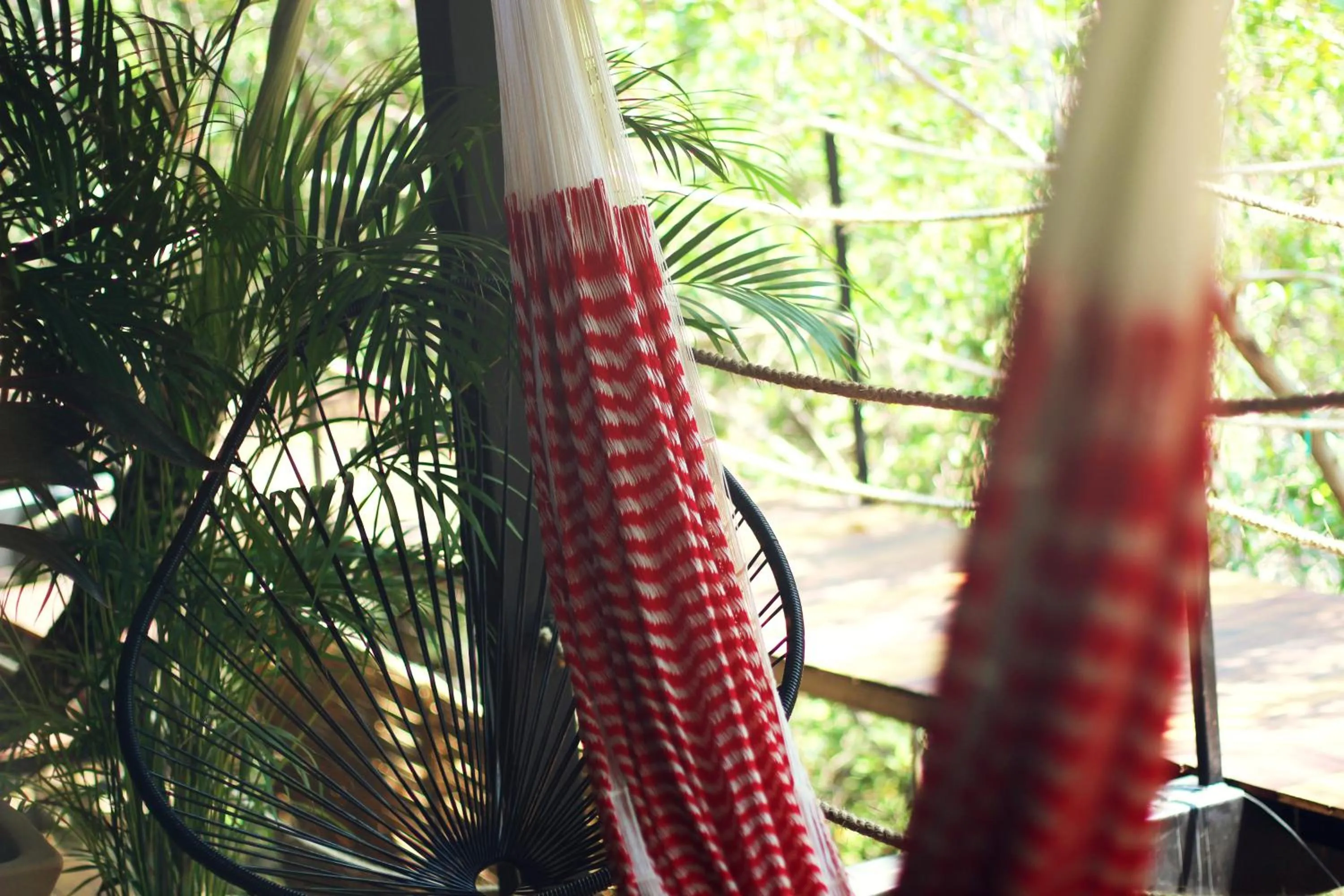 Balcony/Terrace in Hotel Noga